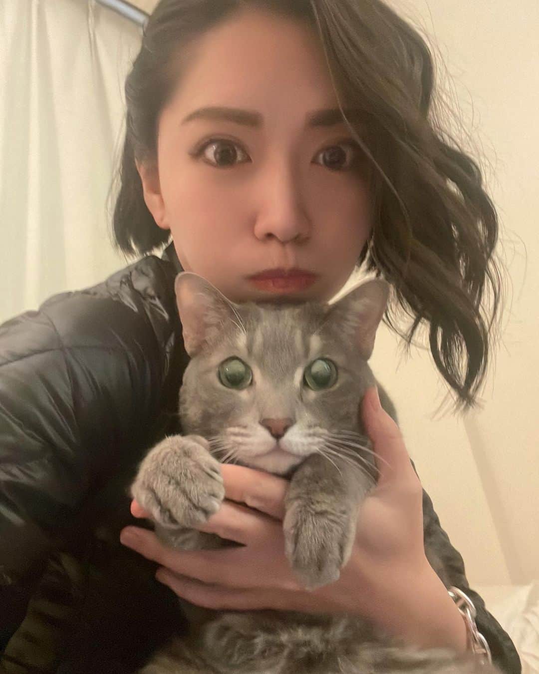 のインスタグラム：「そう言えば、毎日むーさんとのツーショットを撮って1年以上が経過していました！ いつも嫌々ながら付き合ってくれてありがとう。最近は3枚くらい撮るまで待ってくれます。笑 #愛猫 #むーさん #猫のいる暮らし」