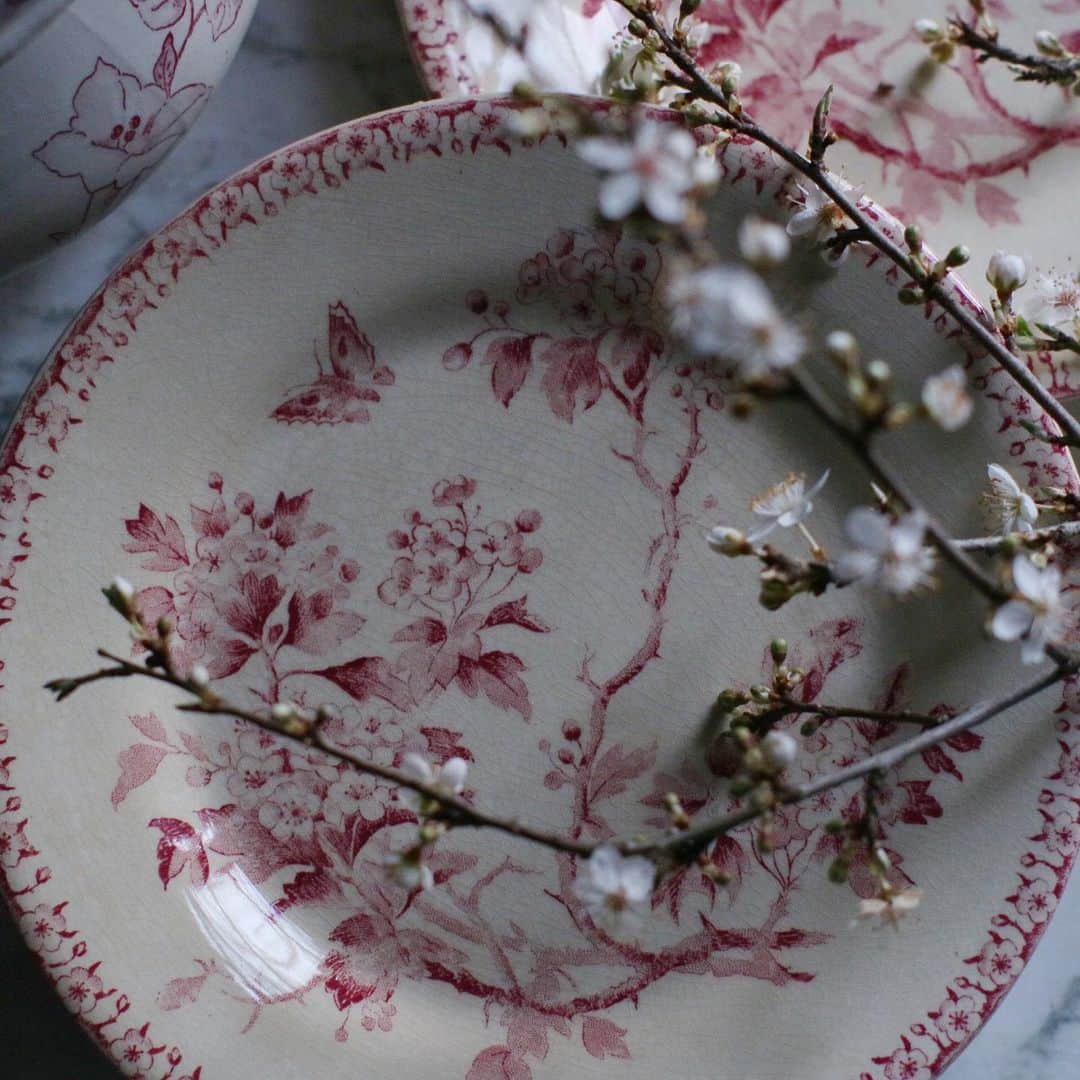 のインスタグラム：「#🌸 春の兆し  #フランスの器 #アンティークのある暮らし」