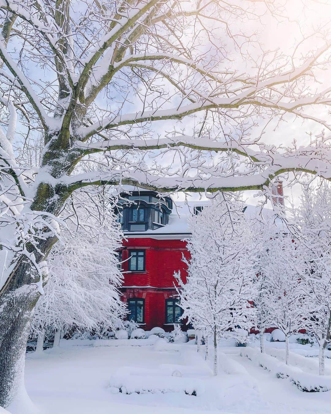 kaelのインスタグラム：「Winter at its most beautiful, which lasts about an hour.」