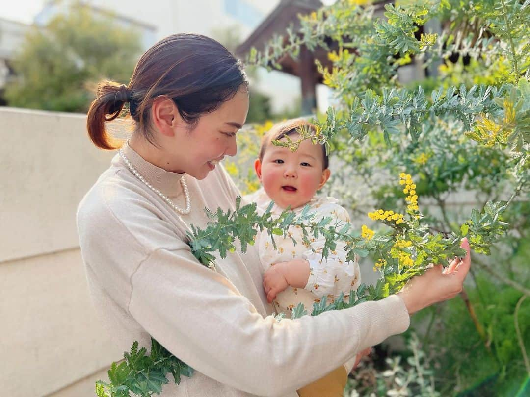 HALCAのインスタグラム：「🌼 #国際女性デー 🌼 ⁡気候変動や新型コロナウイルス感染症などの パンデミックによる災害は誰にでも影響があると 思われがちだけど、被害の大きさは等しくない。  雇用・賃金格差による女性の社会不安や貧困の深刻化、 途上国では食糧・水不足による生活困窮や健康被害、 教育が受けられない教育格差などの不平等によって、 女性はより大きな被害を受ける。  生活や生計に直接影響が及んでいる現状は コロナ禍でも浮き彫りになったように 日本でも確実にある見過ごせない問題。 日本のジェンダーギャップ指数は先進国では最低だし 根深く染みついた差別や偏見は社会の仕組みや制度に たくさん隠されてたりする。 ⁡ パリ協定で気候変動対策におけるジェンダー平等と 女性のエンパワーメントの重要性は明記されてるけど 日本の政治にはどれだけ反映されてるだろうか？ 岸田政権の女性の割合は？ (いつも高齢の男性ばかり！当事者はどこ？) 気候変動やパンデミックの影響を不公平に受ける 社会的に脆弱な人たちの視点が取り入れられてるか？ ⁡ わたしたちにできることのひとつは 政治を監視し、積極的に参加すること。 来月は統一地方選挙もあります。 ⁡ 差別や偏見、強制、搾取、のない社会を！ そして、男女だけではなく あらゆるセクシャルマイノリティの人たちが 公平に安心して社会で暮らしていけるように。 ⁡ 少しずつ咲きはじめた、お庭のミモザとともに 強い気持ちと大きな(心の)声で投稿します！ #internationalwomensday #festadelladonna  #mimosa #mimosaday #halgarden #mygarden  #happywomensday #mylittlegarden #mimosatree」