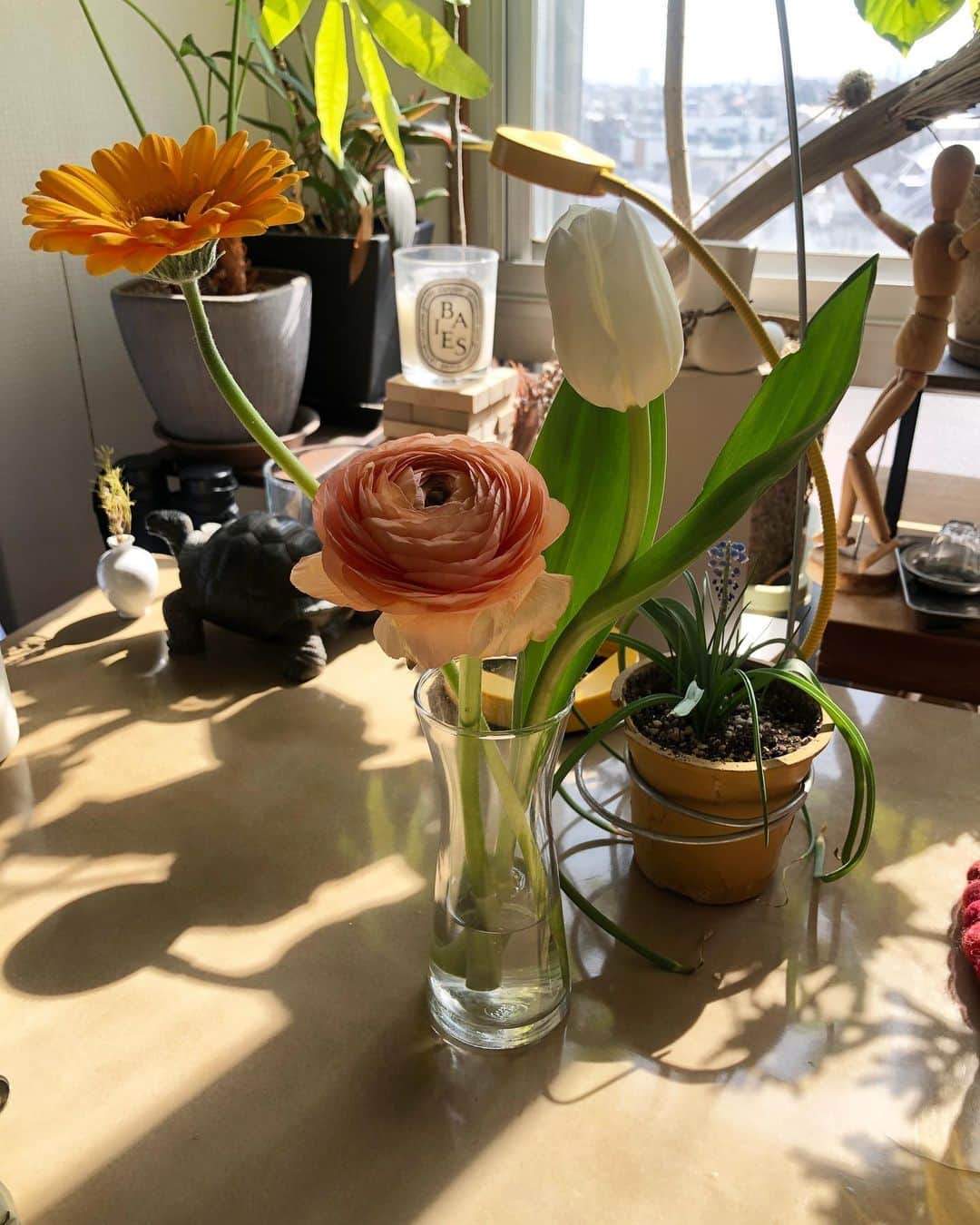 川口花乃子のインスタグラム：「お花のヨリが好きです🐝 生命力があるから好き。 生き物の創造力を感じれるから好き。」