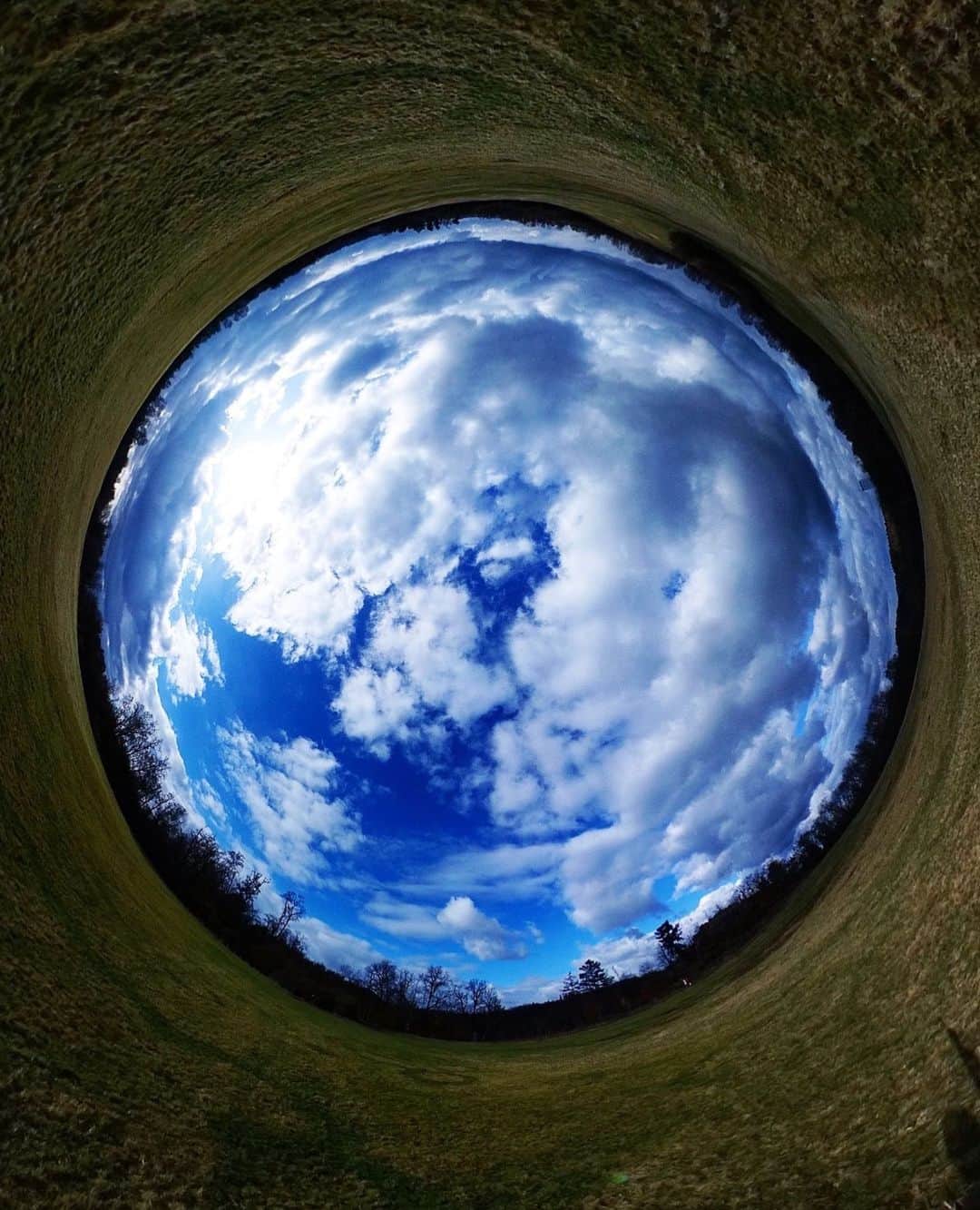 Official RICOH THETAさんのインスタグラム写真 - (Official RICOH THETAInstagram)「Who's ready for Spring? ☀️ As the months get warmer, get outside and create beautiful photos with your RICOH THETA camera like @sashaflamingo using their RICOH THETA Z1 📸  . . . . . #ricohusa #ricoh #ricohimaging #theta360 #ricohtheta #lifein360 #360camera #360view #camera #cameratips #cameralover #photographylovers #photographer #photooftheday #photographytips #photoediting #editingtips #photoedit #360flowers #springtime #flowerphotos #flowerphotography #springphotography」3月9日 0時35分 - theta360official