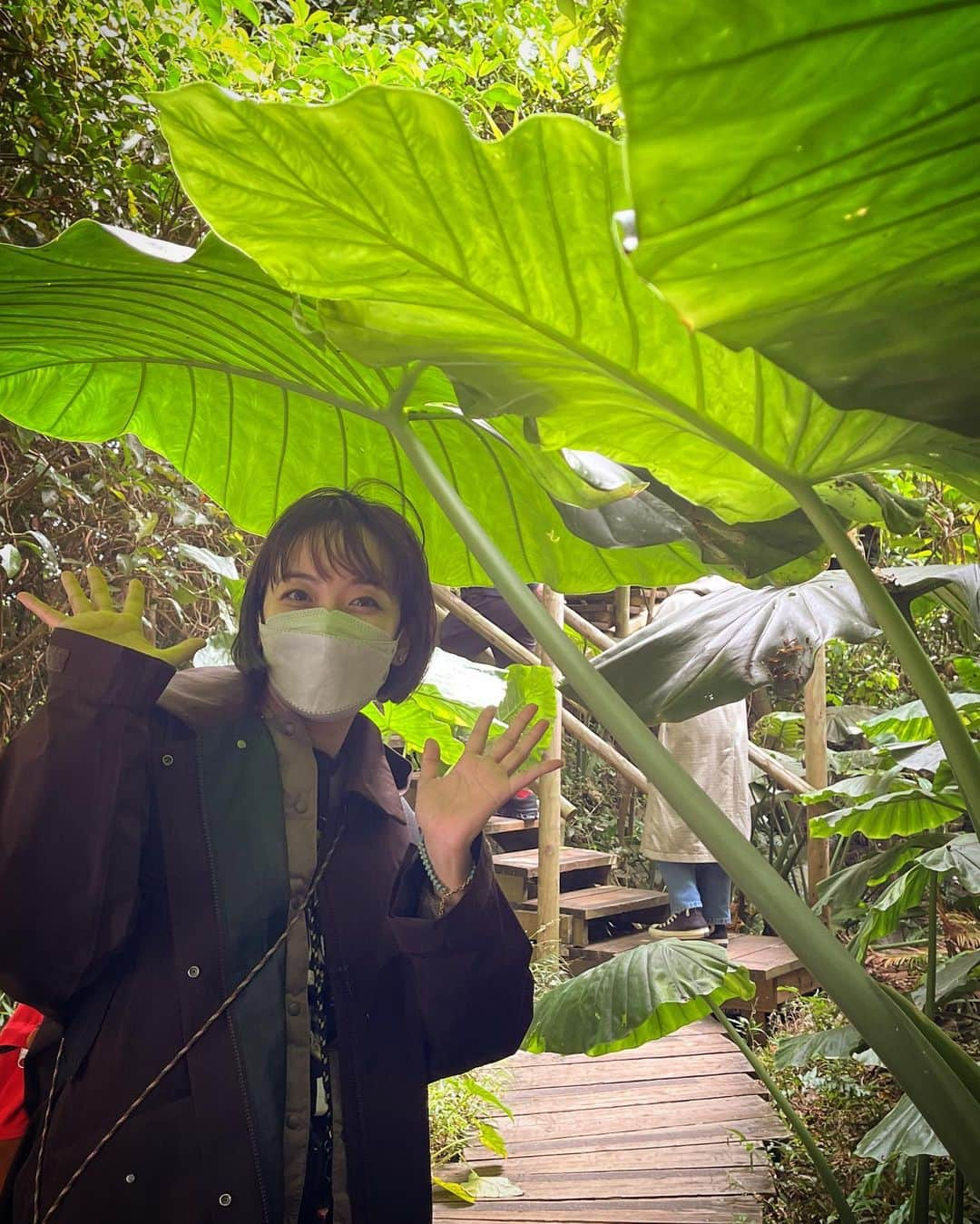 吉岡麻由子さんのインスタグラム写真 - (吉岡麻由子Instagram)「#沖縄#OKINAWA  #ガンガラーの谷   弾丸！沖縄の旅。行って来ました♪  希さんの誕生日祝いをみーーーんなで❤︎  オススメすぽっと。 ガンガラーの谷。 ガイドさんがついてくれて 興味深いお話と 神秘的な景色。」3月9日 1時19分 - mayuko.1017