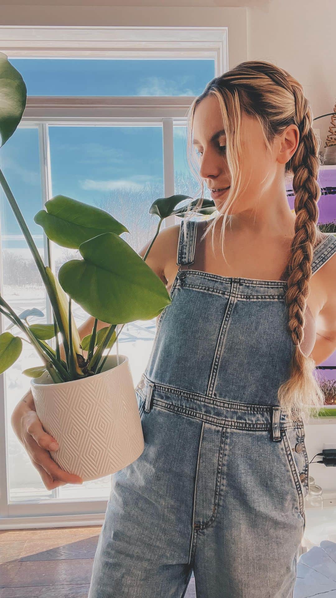 Kalyn Nicholsonのインスタグラム：「A little ‘before’ plant tour 🪴 From the revived pothos I got back in Toronto that now lives in Easton’s room to the new birthday monstera. You can also spot our micro greens project ready for harvest.   I will do an update when we get our garden up and running.」