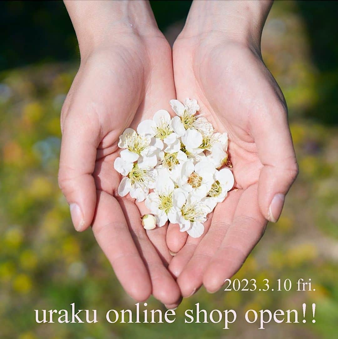 田沢美亜のインスタグラム：「【uraku online shopがオープンします！！】  ３月１０日(金)11:00にuraku online shopがオープンいたします。  まず販売がスタートするのは、ここ数年取り組んでいた梅干し2種（白うめ、紫蘇うめ）。 群馬県みなかみ町月夜野という地域にある T THREE FARMにて無肥料無農薬で栽培された梅を使用し、天然塩で漬け、私たちが丁寧に一つ一つ天日干しした梅干しです。 東京よりほぼ１ヶ月遅れて開花する月夜野の梅の花もちらほら咲き始め、オープンをお祝いしてくれているかのようです。 online shopに先駆け、先月まで１ヶ月半ほど表参道のカリモクコモンズで限定発売していましたが こちらでは完売してしまいました。オンラインも数に限りがありますのでご興味ある方はお早めに お買い求めください。 -----------------------------------------------  【uraku online shop】  https://urakutokyo.square.site  3/10(金)11:00スタート！   #uraku_tokyo #小梅 #小梅干し#ume #umeboshi #梅干し#梅仕事 #urakutsukiyonolab #梅 #群馬　#みなかみ町 #水上 #月夜野 #梅仕事 #無肥料無農薬 #自然農法　#dohostyle #tthreefarm」