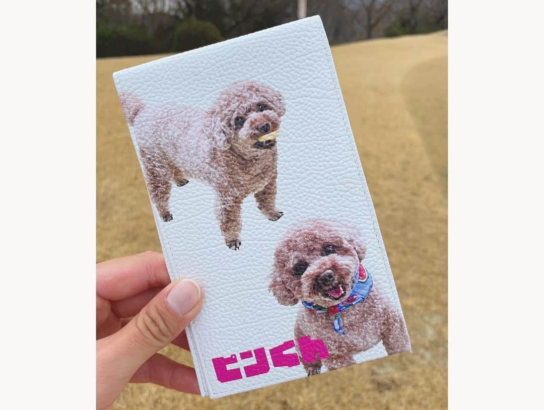 竹山佳林さんのインスタグラム写真 - (竹山佳林Instagram)「今年もヤーテージブックカバーを作ってもらいました🐾 大好きな愛犬ピンくん🙈❤️これでプレー中もリラックスできそう💭  @awesome.japan さま いつもありがとうございます🙇‍♂️✨  #golf #ヤーデージブックカバー #メモカバー #オーダーメイド #愛犬 #お気に入り #awesomejapan」3月9日 17時20分 - karin.takeyama