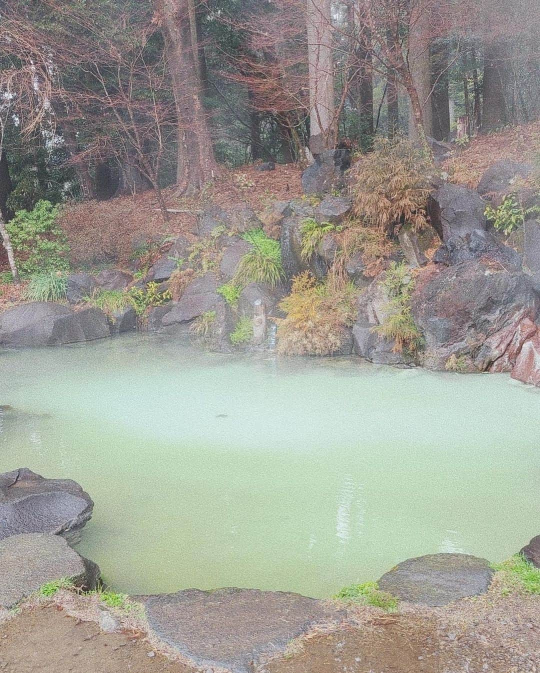 九星気学カフェさんのインスタグラム写真 - (九星気学カフェInstagram)「霧島神宮で御祈祷👏 禊ぎの雨、雷。 とても軽くなりました。  鹿児島は何度でも行きたい場所の一つ。博多や阿蘇もどこかで。  #霧島神宮 #御祈祷 #癒し #九州 #鹿児島 #占い #九星気学 #風水 #運勢 #運気 #開運」3月9日 17時26分 - kigakucafe