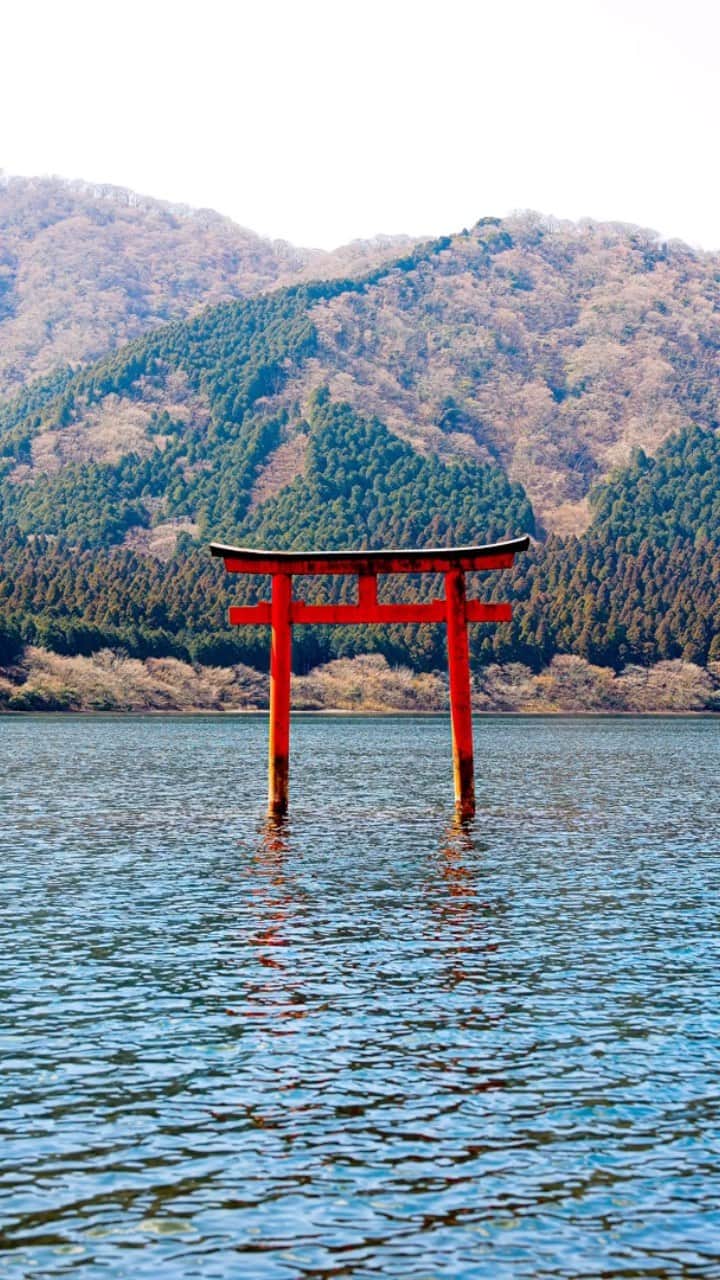 のインスタグラム：「運気が良くなりそうな投稿😆🐉⛩ #神社」