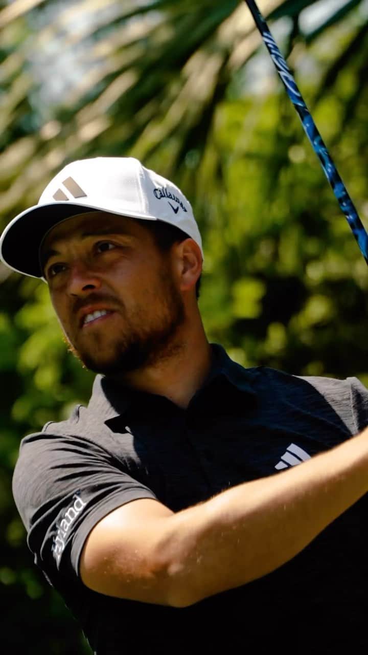 ザンダー・シャウフェレのインスタグラム：「Always enjoy coming back to  @theplayerschamp Looking forward to a good week.」