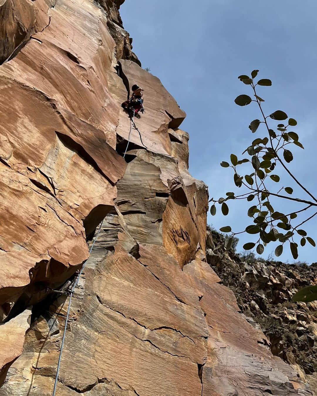 ニーナ・ウィリアムズさんのインスタグラム写真 - (ニーナ・ウィリアムズInstagram)「Thinkin’ back on fun adventures with @katekelleghan this #InternationalWomensDay 😌☀️ We explored the basalt cracks of Waterfall Crag in Sedona, AZ as part of @dometic’s series featuring strong female athletes! @katekelleghan was my first partner choice not only for her trad skillz, but for her light-me-up energy and stoke for a new day everyday 🔥 It’s so important to have lady friends who match your vibe and vision. I’m deeply appreciative for @katekelleghan and all the women in my life who’ve supported and challenged me over the years. Looking forward to more light and laughter with the girl gang !! 🤩💪🏼  📸 @coltonandrewjacobs   #climbing #tradclimbing #sedona」3月9日 10時31分 - sheneenagins