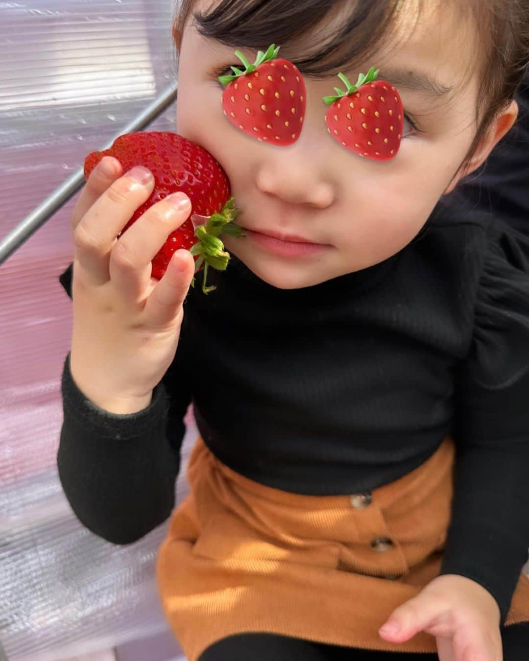 二瓶藍菜さんのインスタグラム写真 - (二瓶藍菜Instagram)「🍓 ̖́-‬ strawberry farm  毎年恒例になった🐝𓂃𓈒𓏸︎︎︎︎🍀  いちご狩り🍓🍓🍓 @150ichigoen  去年出来たばっかりで綺麗な施設だからオススメ✨🕊️  練乳も貰えるよ🍓＋🐄＝🍼  イチゴ大きくて娘♡大興奮！！ ママ🍓おっっきいよー✨‼️って きゅん🫰🏻 ͗ ͗〰︎︎♡🧺  今年あと2回は行きたい🥹💗🫰🏻  👧🏻 #いちご狩りコーデ tops....SHEIN skirt....SHEIN shoes..CONVERSE bag.....ZARA  #いちご狩り #いちご狩りコーデ #ZARA #shein #山形東根 #山形」3月9日 13時58分 - aina.17