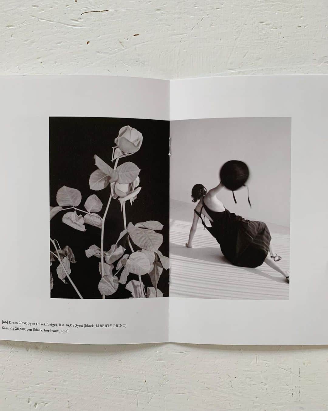 OKAのインスタグラム：「ADIEU TRISTESSE 2023 春夏カタログ  @adieu_tristesse_official」