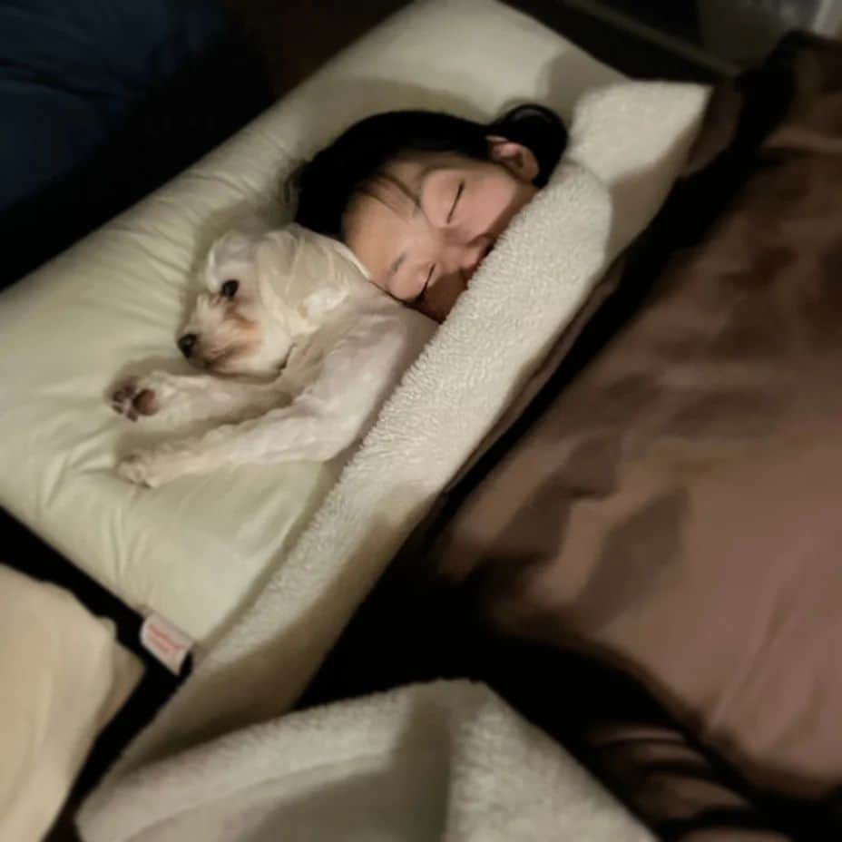 濱田准さんのインスタグラム写真 - (濱田准Instagram)「誰ですかぁ～？？ お犬様に上手な枕の使い方を教えたの😑🐶 毎日狭くてしゃーない😤😤」3月9日 16時16分 - hamada_jun