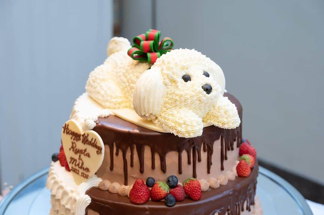 青山フェアリーハウスのインスタグラム：「. . 大きいワンちゃんが乗った ウェディングケーキです🎂🐶🤍 . . クリームとチョコクリームの ハーフで作られているのも ポイントです☺︎✨ . . . #青山フェアリーハウス  #ウェディングケーキ .」