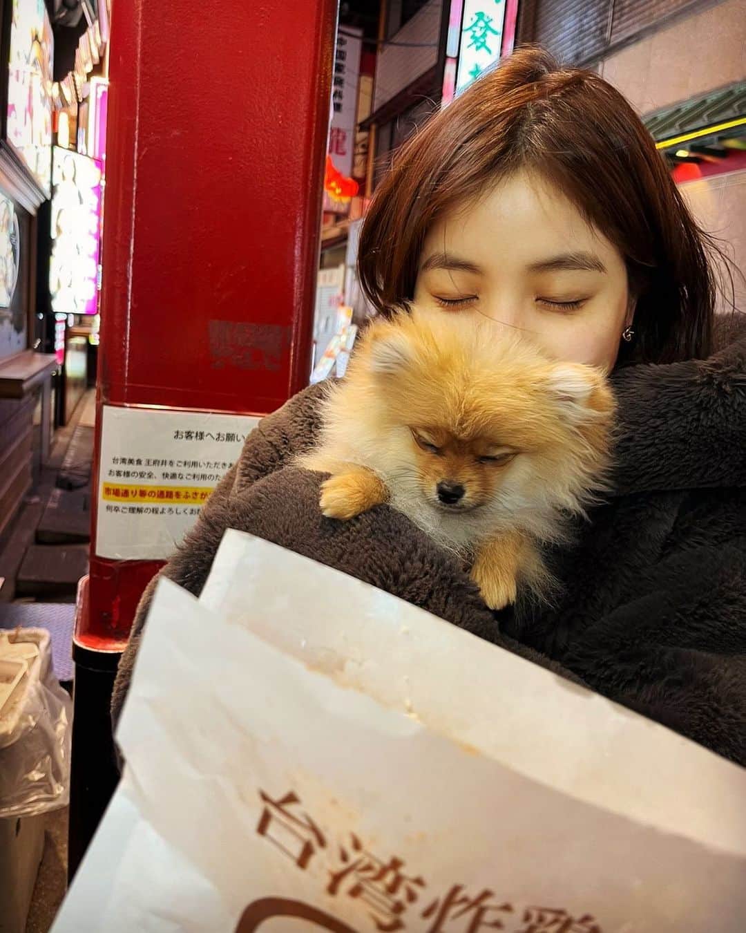 増井なぎさのインスタグラム：「まだ寒かった日の中華街🍥 #犬と似てきた」