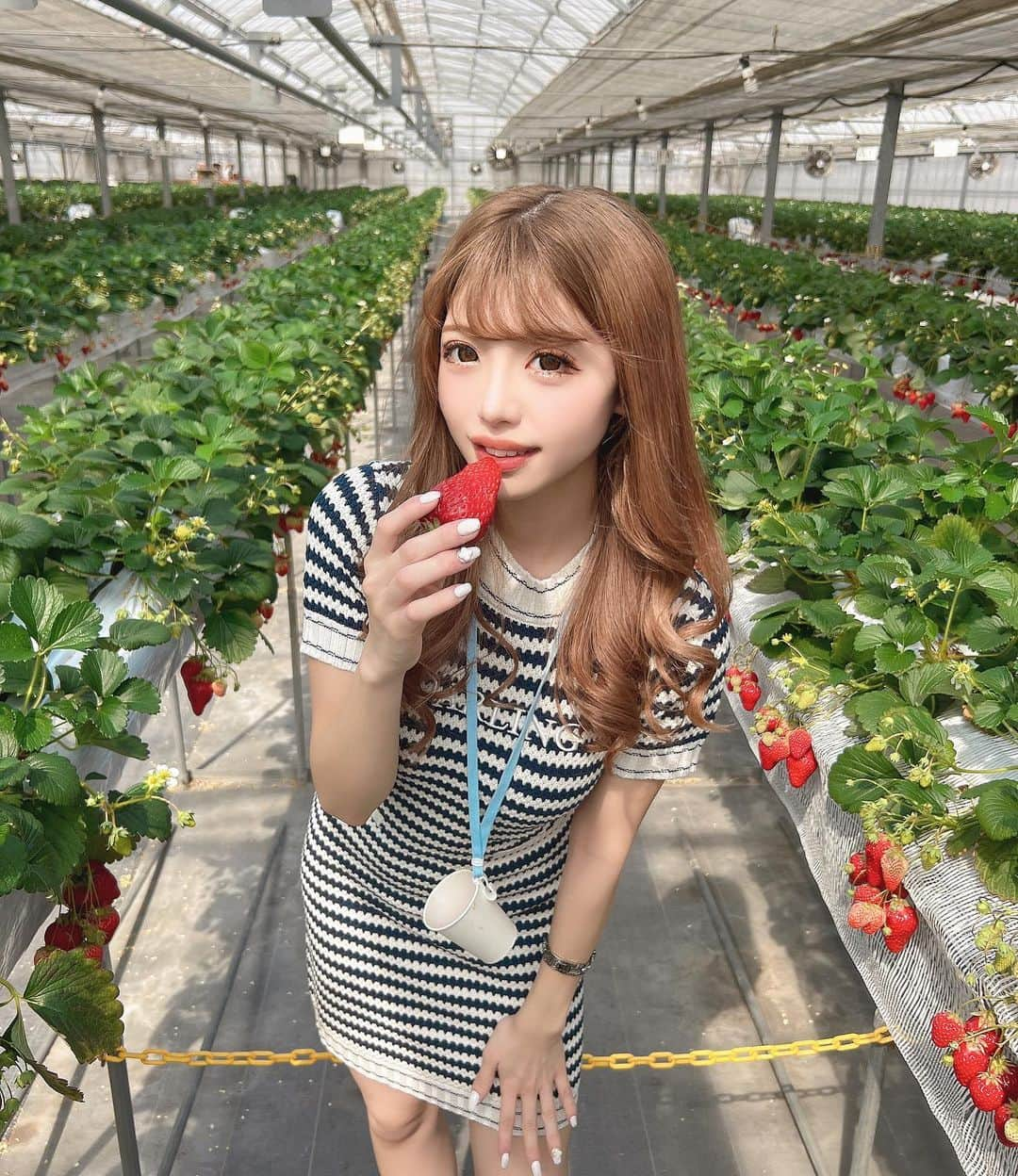 YUNAさんのインスタグラム写真 - (YUNAInstagram)「いちご狩り🍓🍓🍓  今日は昼間暖かすぎて 半袖で充分だったー☀️☀️  .  .   #いちご狩り #苺狩り  #いちご畑  #darich #darichコーデ #ミニワンピ  #ギャル  #白ギャル  #女の子ママ #2児のママ  #シンママ  #ダーリッチ  #ootd #onepiece #fff #l4l #followme」3月9日 19時04分 - 24yunaa