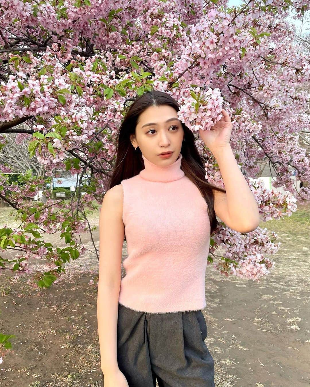 のインスタグラム：「今年も大好きなお花を見れた🌸」