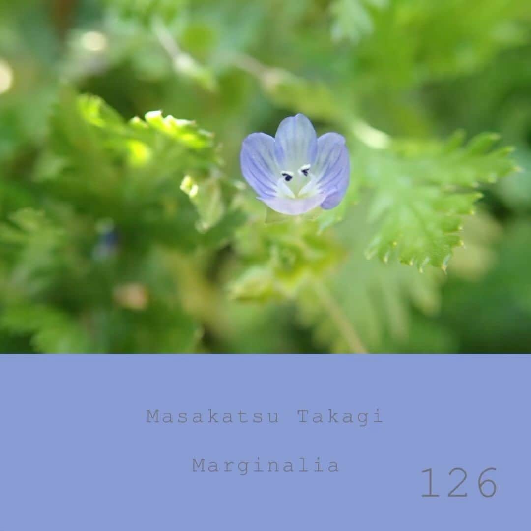高木正勝のインスタグラム：「Like my son’s own language. New Marginalia recording on bandcamp (link in bio), streamings will come soon.  言葉を覚える前の世界、息子と一緒に過ごしていると、何もかもそのまんまな、色々飛び交っている世界にいるなと感じます。 高木正勝　マージナリア #126 Bandcampにて（リンクはプロフィールにて） ストリーミングは後日始まります。」