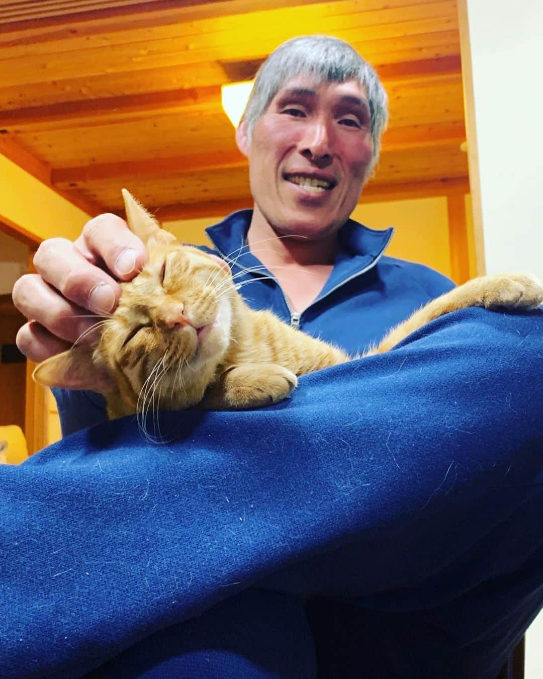 篠原信一のインスタグラム：「チャコ〜😍❤️  #茶トラ猫 #ねこ #cat  #保護猫 #😍」