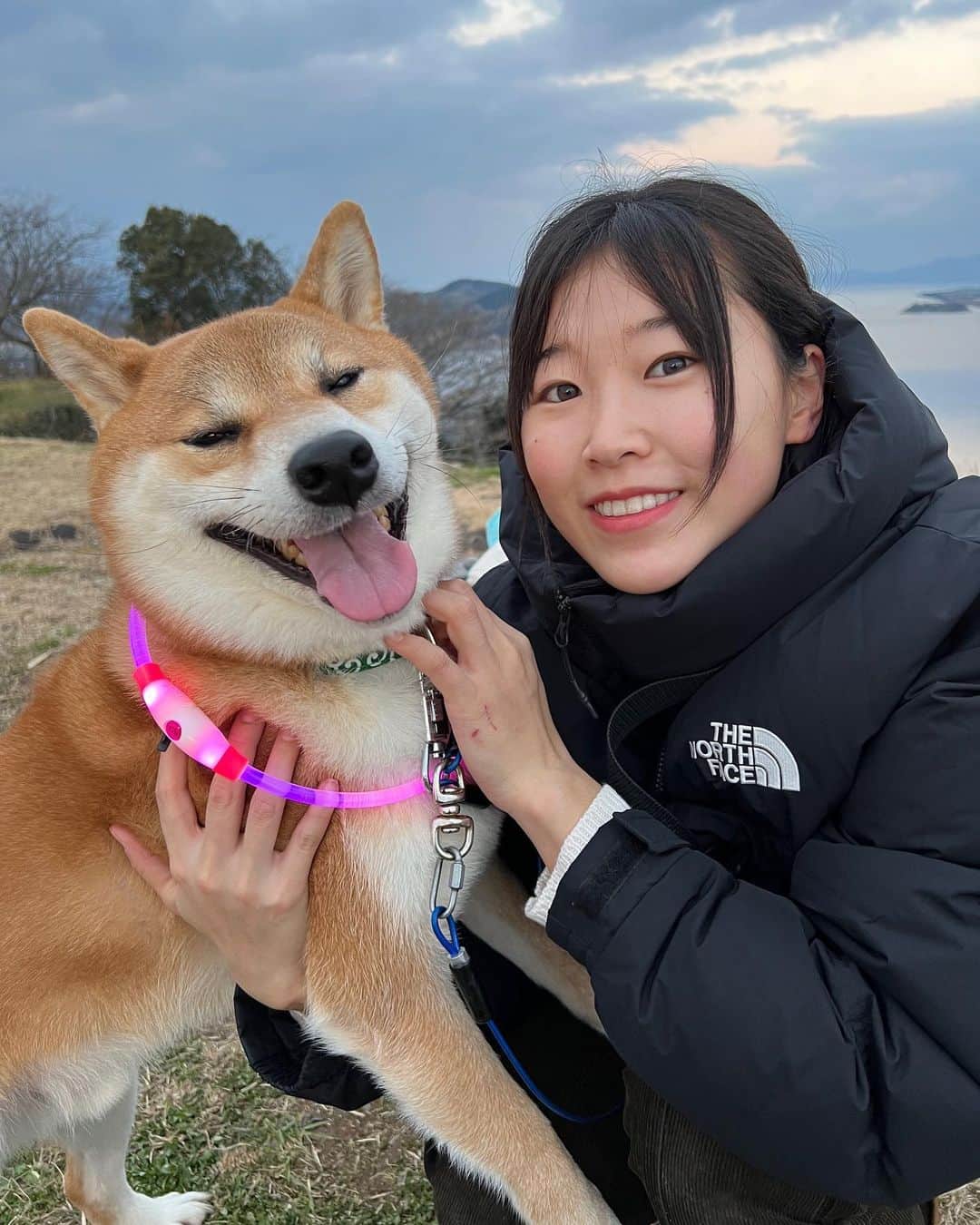 三上紗也可のインスタグラム：「コロちゃんも誕生日おめでとう🎂  祝5歳🐕”  #柴犬」