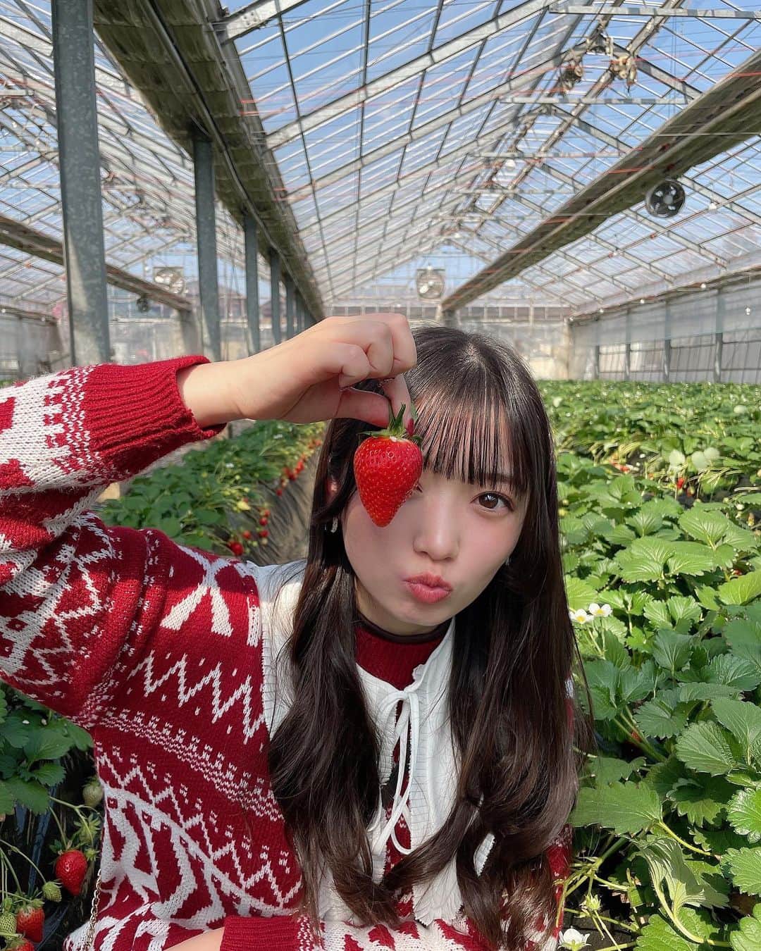 山岸理子のインスタグラム：「* 🫧🍓 ⁡ いちご狩り…‪🫶🏻🍓🥛 ⁡ ⁡ #tsubaki_factory #山岸理子 #ニットもネイルも #いちごカラー ⁡ ⁡」