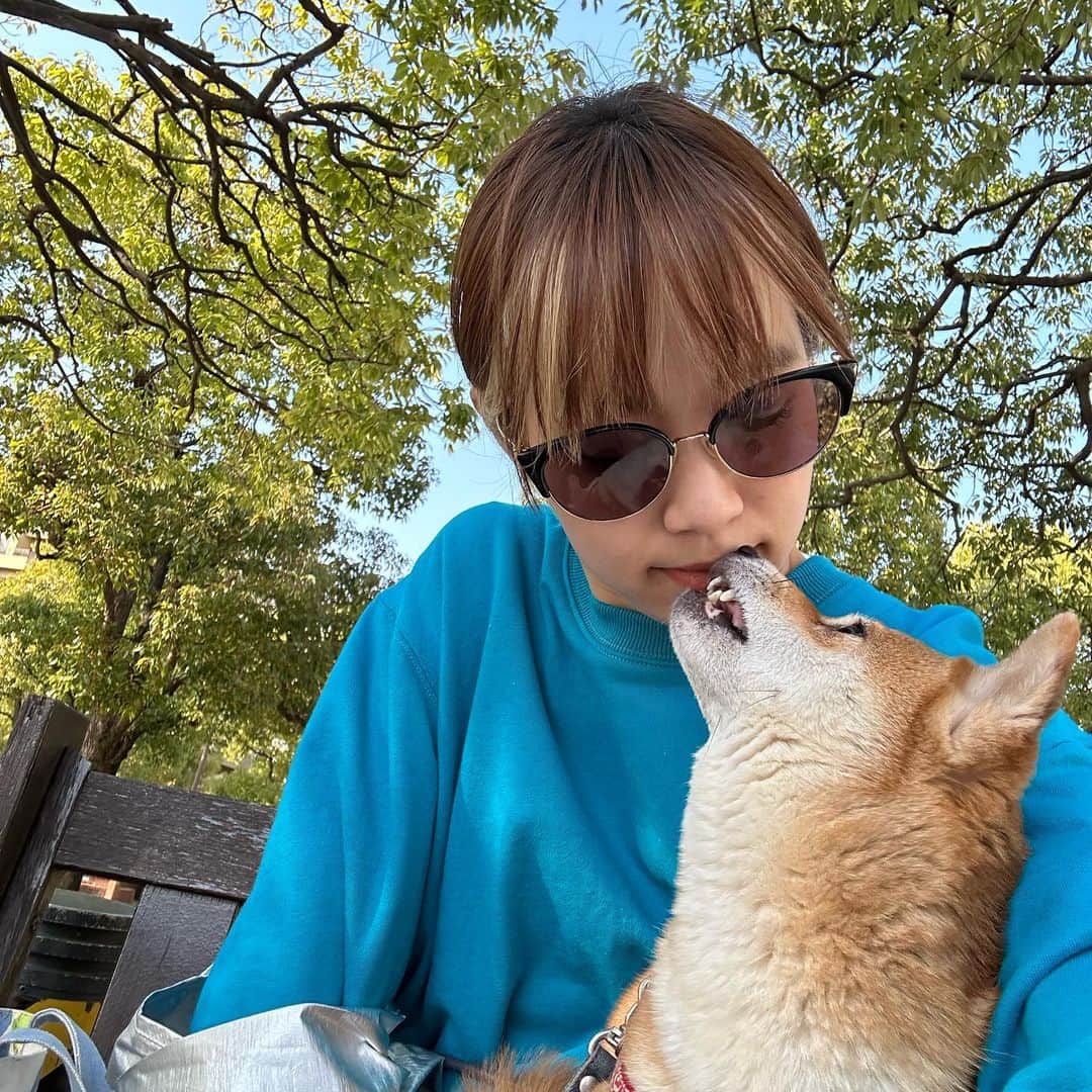 VANRIのインスタグラム：「☺︎< Perfect day for sit in the sun☀️  先日久しぶりに子なしで はなもんとのんびりお散歩へ🐕🐕♪ 以前は犬友さんにおやつをもらいに行ったり たくさん交流があったのに お子が生まれてからなかなかそーいった場所へは行けず ごめんねの気持ちと、変わらず愛してるよを沢山伝えて🌸 (きなこぱんも変わらず元気です🐥🐥) #最後はおまけ #くしゃみをしたら #漫画のような鼻ちょうちん」