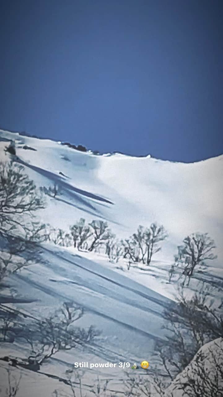 中井孝治のインスタグラム：「Still powder 🔥🔥🔥  @keisukeyoshida7  @ke2da4hiro  @motokitakahashi   #coiftrip  @salomonsnowboards @salomonsnowboardsjapan #salomonsnowboardsjapan @volcomjapan #volcomjapan @platepia_japan #revoltgoggles #segawa_nouen #toko #msrgear_japan #msr #coif #hps #hillsideproject #purejammovie #横乗り塾 #いらおじゃ」