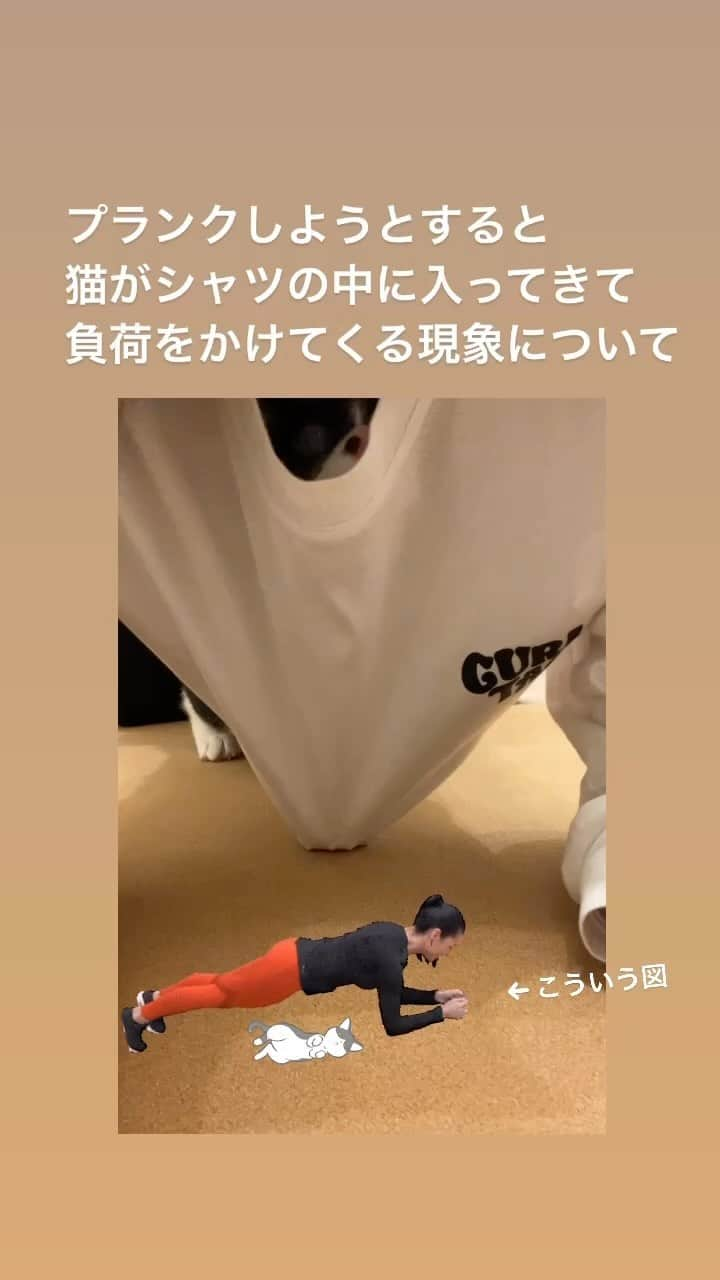 藤井ゆきよのインスタグラム：「おうちで筋トレする時、必ず負荷をかけてくるのなんなの  #あんころもちくまお #たまにはっちゃんと二匹で入ってくる #合計9キロの負荷 #鬼トレーナー」