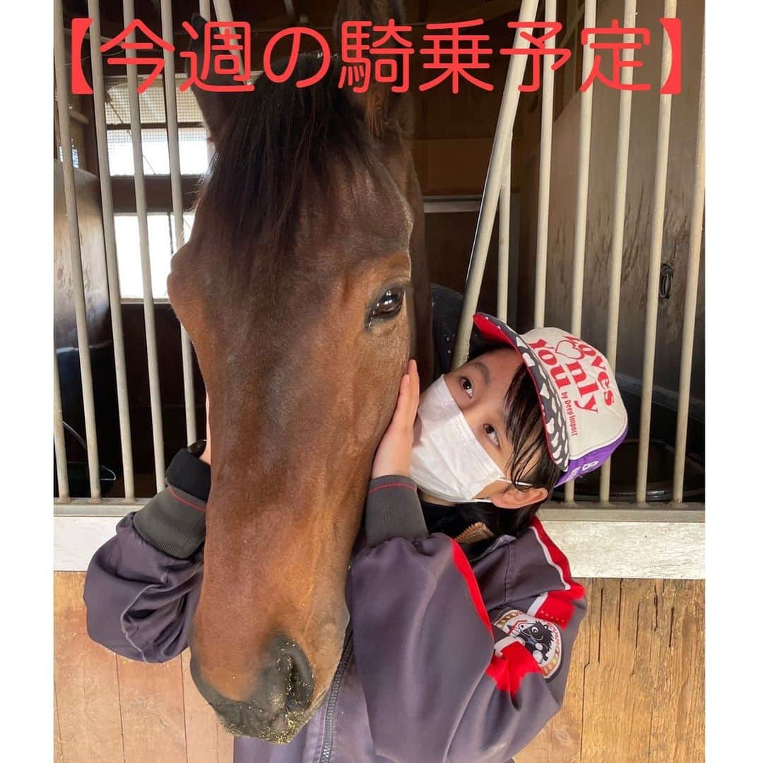 古川奈穂さんのインスタグラム写真 - (古川奈穂Instagram)「【騎乗予定】 《3月11日土曜日中京競馬場3鞍》 1R シュトラーセ 5R ザレットイットビー 6R メイトースイ  《3月12日日曜日阪神競馬場3鞍》 2R エコログレイト 6R スマートオリーブ 12R イプノーズ  【騎乗結果】 《3月4日土曜日阪神競馬場2鞍》 7R バレストラ　6着 12R エンジェルシリカ　13着  《3月5日日曜日阪神競馬場1鞍》 2R グレイシャスオーラ　中止  皆様、日々ご声援頂きありがとうございます。 また次戦からも応援のほど、よろしくお願いします！  #騎乗結果  #騎乗予定  #スタッフ投稿  #古川奈穂  #jra  #騎手  #ジョッキー  #jockey  #競馬  #horseracing  #馬が好き #馬  #horse  #3月 #春がちかいね  #上を向いて歩こう #一歩一歩  #一走入魂  #やるっきゃない #2023年 #阪神 #阪神競馬場 #中京  #中京競馬場  #落馬ご心配をおかけしました」3月10日 11時11分 - naho_furukawa_official