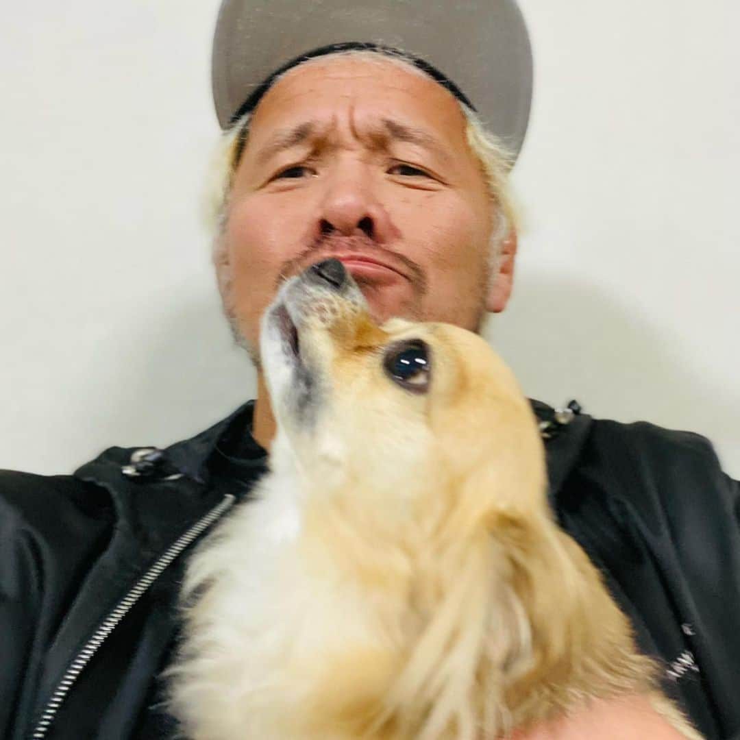 真壁刀義のインスタグラム：「おぅ‼︎昨晩、久し振りに愛犬に会ってきたから不思議と今朝は寝起きがスムーズだったわぃ😁‼︎心が癒されたぜぃ‼︎ さぁ〜練習に参る‼︎  ＃新日本プロレス ＃スイーツ真壁」