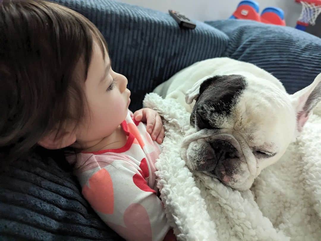 Manny The Frenchieのインスタグラム：「Bffs 💛」