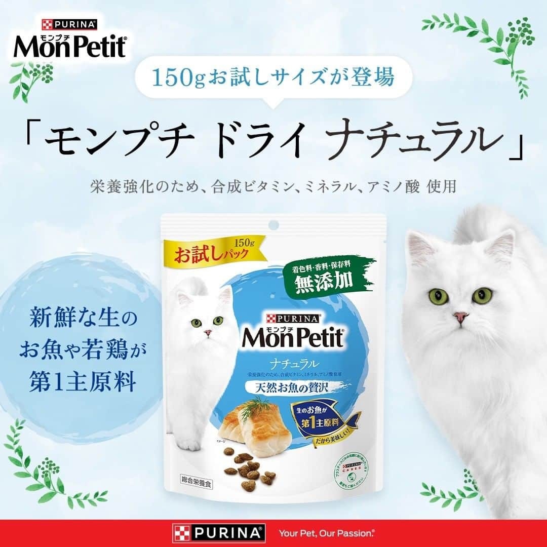 Purina Mon Petit Japanのインスタグラム