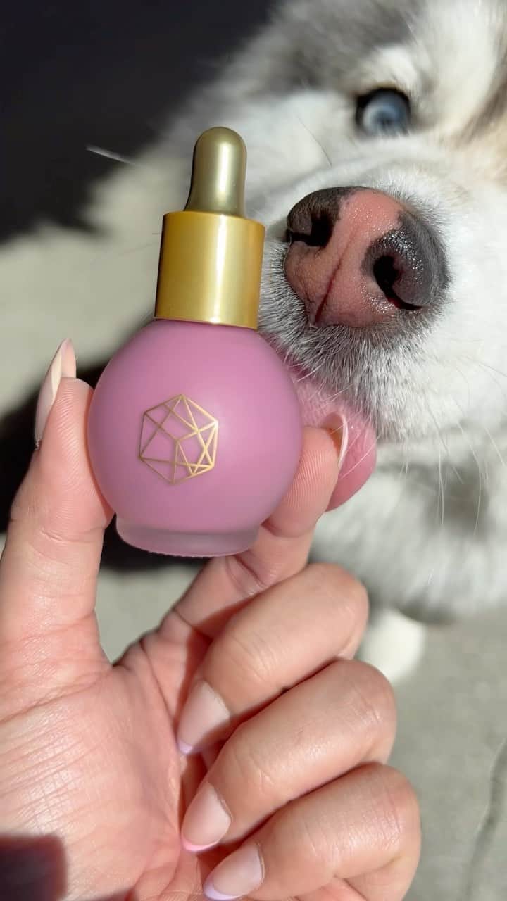 のインスタグラム：「little lilac serum blush 💗 @emcosmetics」