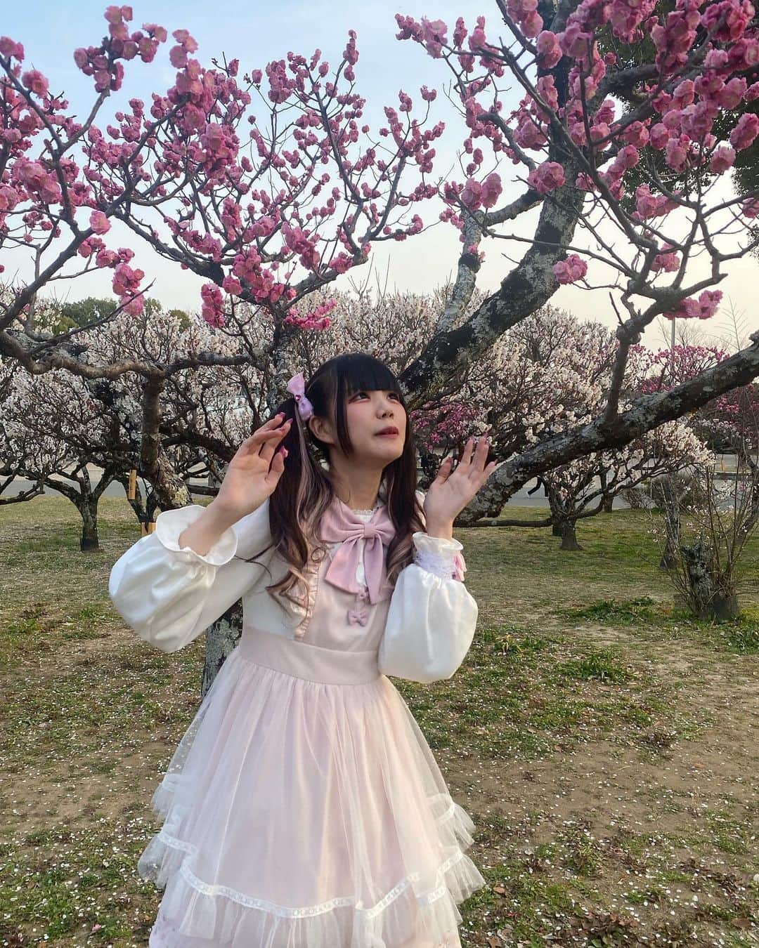 ゐななさんのインスタグラム写真 - (ゐななInstagram)「おはなみ🌸 いつもと写真の感じ違うけどまるでインスタグラマーみたい！！！  最後は蜂に怯える私です」3月10日 21時48分 - inana_aa