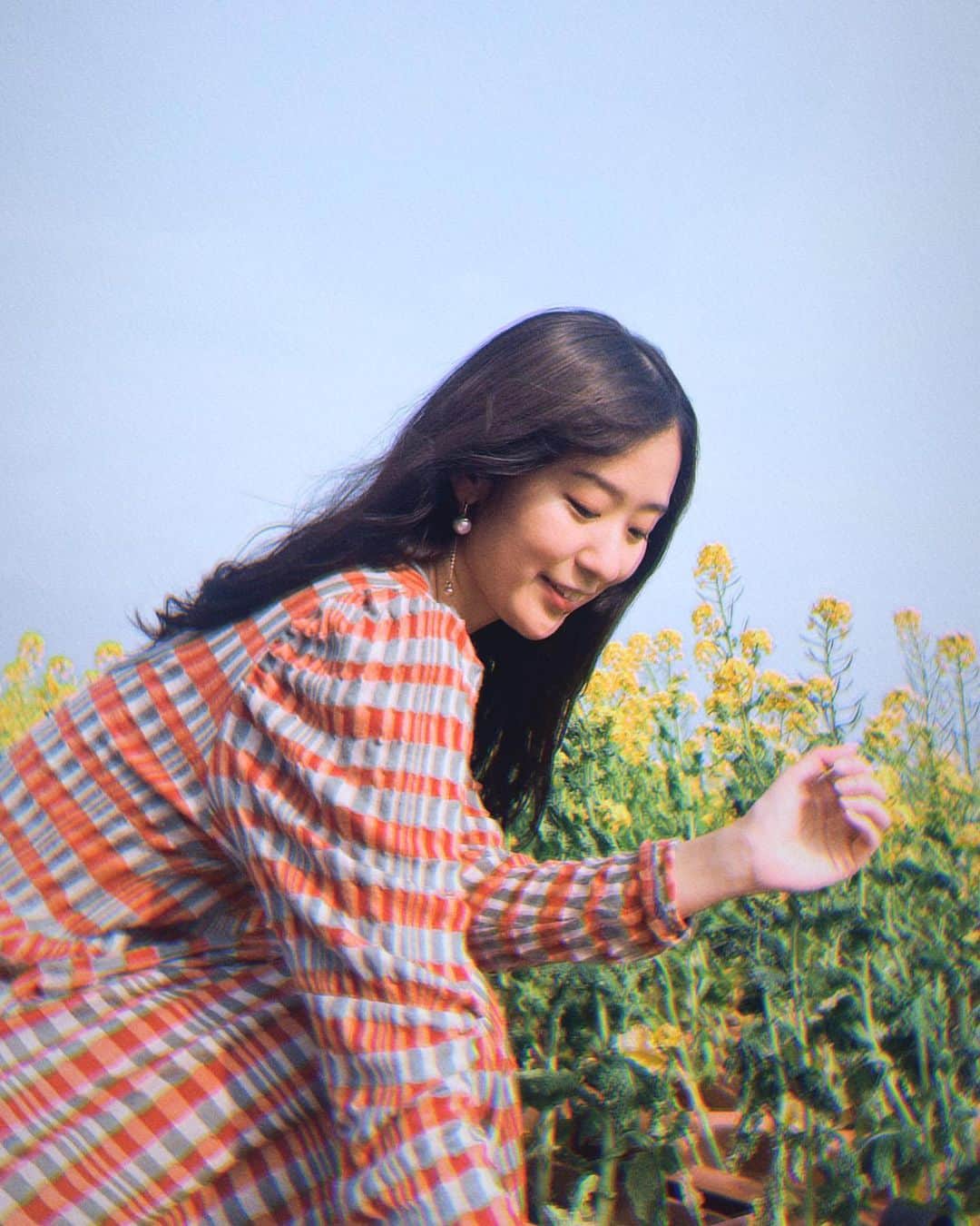 のインスタグラム：「canola flower🌼  #canola#canolaflower#flowerstagram#kamogawa#kamogawaseaworld#yellowflowers#spring#japan#asia#菜の花#菜の花畑#被写体#トイカメラ」