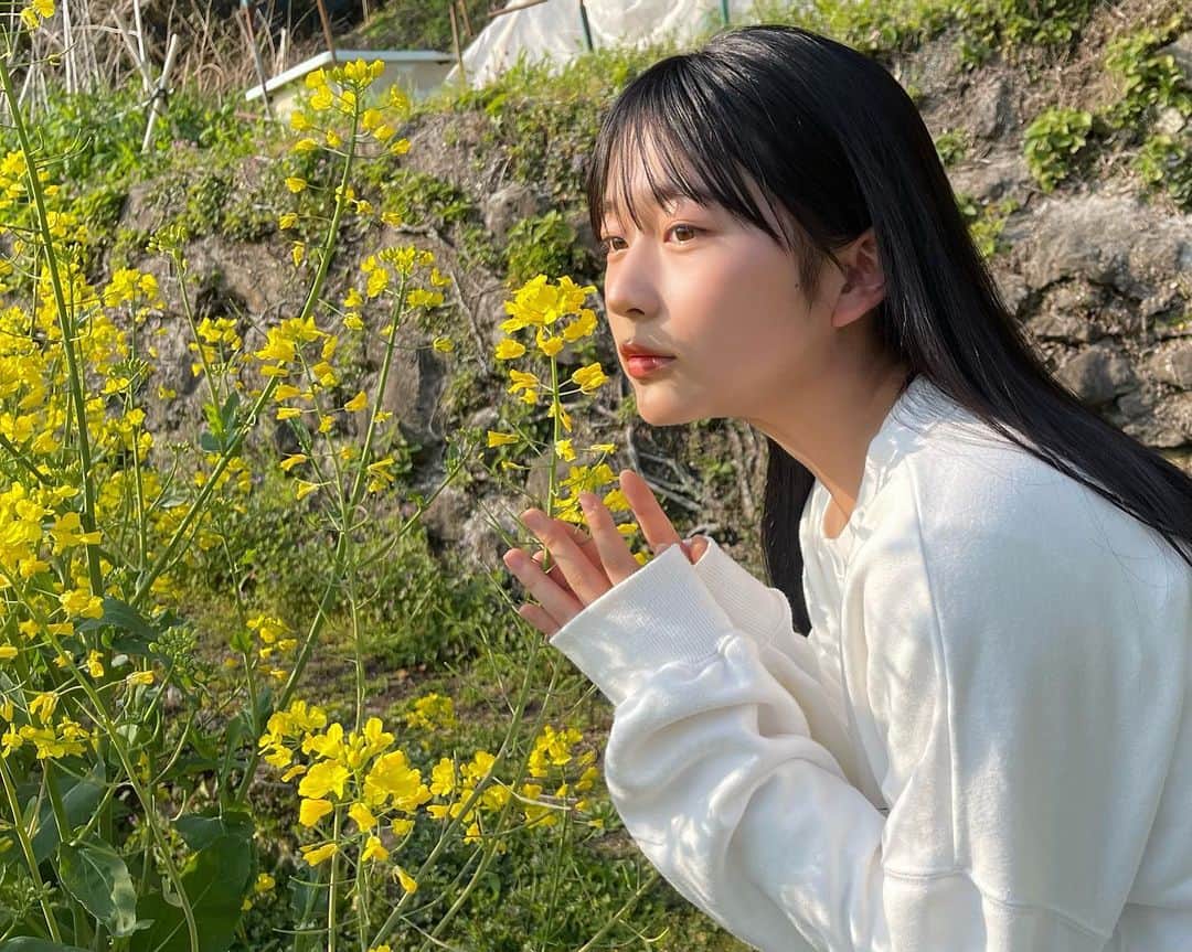 のインスタグラム：「いい天気でおさんぽ日和だったよ〜🌼 これは何のお花でしょうか！！！」