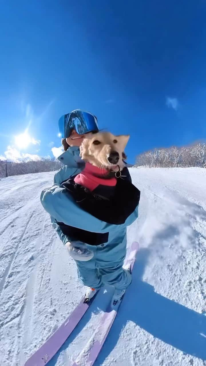 楠怜己のインスタグラム：「Yes! It’s fridaaaay🙌 Have a great weekend 🐶✨」