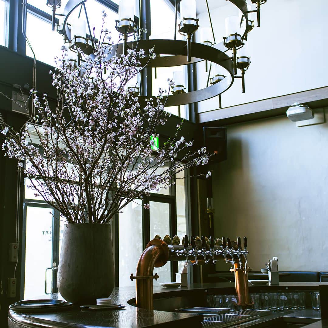 TYSONS&COMPANYのグルメインスタ