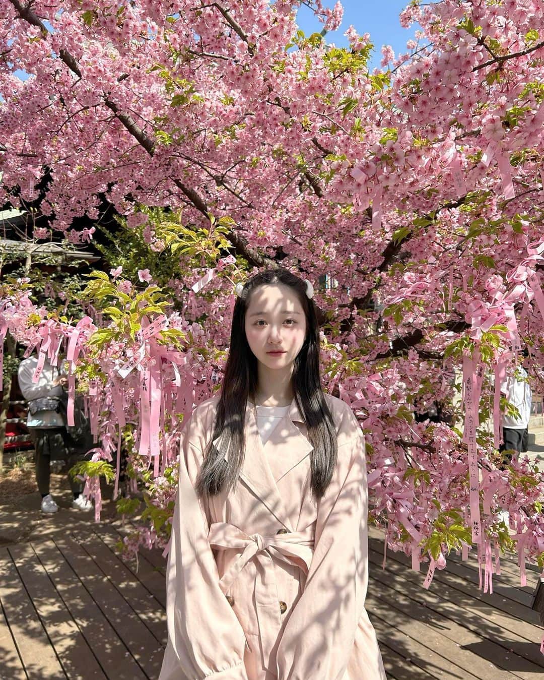 高木凜汐さんのインスタグラム写真 - (高木凜汐Instagram)「🌸🤍     桜神宮に桜を見に行きました(๑⃙⃘ˊ꒳​ˋ๑⃙)ちょうど満開の時に見れてとっても嬉しかった！ 3枚目の写真はしだれ桜みくじです🌸   最近は春を感じられる暖かい日が続いてますね♡    #桜  #桜神宮  #桜新町  #春  #ピンク  #さくら」3月10日 21時02分 - rio_0126_