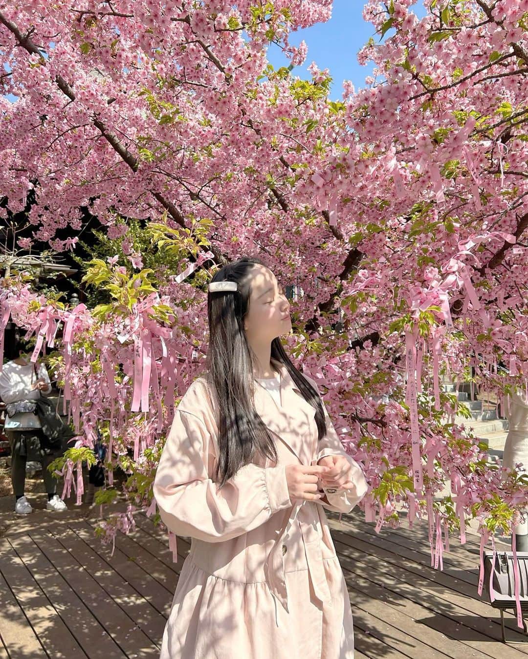 高木凜汐さんのインスタグラム写真 - (高木凜汐Instagram)「🌸🤍     桜神宮に桜を見に行きました(๑⃙⃘ˊ꒳​ˋ๑⃙)ちょうど満開の時に見れてとっても嬉しかった！ 3枚目の写真はしだれ桜みくじです🌸   最近は春を感じられる暖かい日が続いてますね♡    #桜  #桜神宮  #桜新町  #春  #ピンク  #さくら」3月10日 21時02分 - rio_0126_
