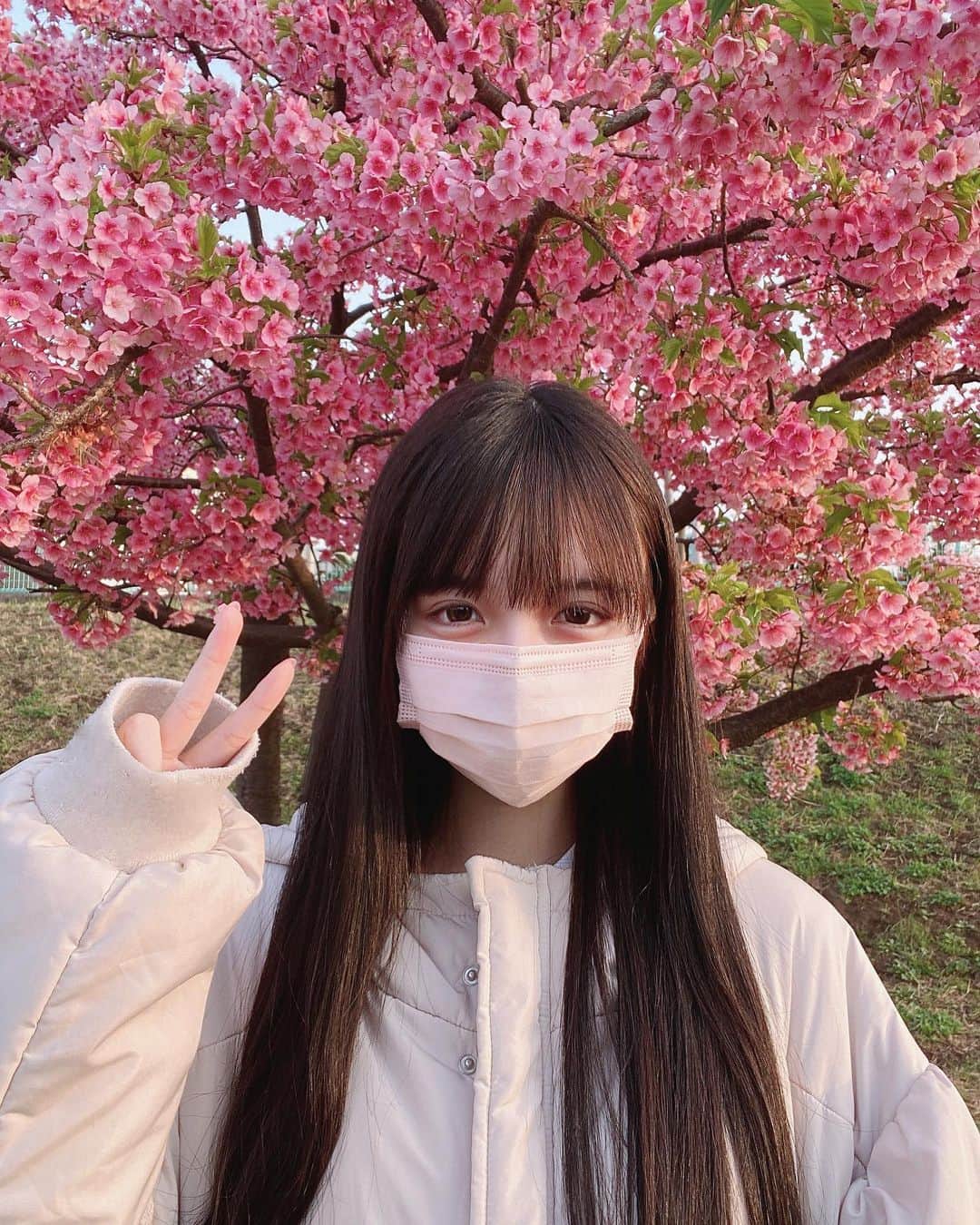月野ちゃんさんのインスタグラム写真 - (月野ちゃんInstagram)「・ ・ ・ さいあくな街 最悪な人間 それでも花って綺麗 だからすき🎶」3月10日 21時16分 - uru_cjft