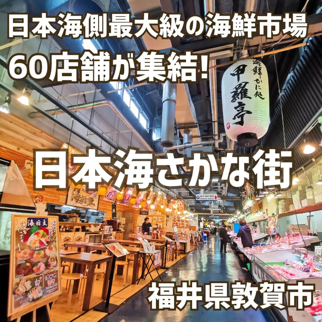 越前かに職人　甲羅組さんのインスタグラム写真 - (越前かに職人　甲羅組Instagram)「⁡ こんばんは🌛⁡ ⁡⁡ #⁡越前がに の⁡⁡⁡シーズンも残りわずか…🦀⁡ 土日、日本海さかな街でカニを食べませんか⁉️⁡ ⁡⁡ ⁡まだ間に合います‼️⁡ ⁡⁡ ⁡⁡ ⁡日本海さかな街は、⁡ ⁡⁡日本海側最大級の海鮮市場 60店舗が集結‼️⁡ ⁡⁡ ⁡ 敦賀港直送の魚介が並ぶ鮮魚店をはじめ、水産加工の店、昆布・珍味・銘菓の専門店など40数店と、海鮮丼・寿司・焼き鯖・特産品の専門店やレストランなど17店舗の飲食店が軒を連ねる巨大海鮮市場です✨⁡ ⁡⁡ ⁡ ⁡ そんな、日本海さかな街内に⁡ ⁡⁡ ⁡・甲羅組 本店⁡ ⁡・甲羅亭⁡ ⁡・甲羅組3号店⁡ ⁡・生け簀の甲羅⁡ ⁡・豪快鉄板焼き 海坊主⁡ ⁡・鮮宴丼ひろし⁡ ⁡⁡ ⁡はございます🙆‍♀️⁡ ⁡⁡ ⁡⁡ ご来店お待ちしております🤩 ⁡ ⁡⁡ ⁡––––––––—-—–––––––––––––––––––  📍アクセス⁡ ⁡福井県敦賀市若葉町１丁目1531 日本海さかな街内 🗓定休日　　不定休（カレンダー参照） 🕛営業時間　10:00〜17:00  ––––––––—-—–––––––––––––––––––⁡ ⁡⁡ ⁡ ⁡⁡ ⁡#鮮宴丼ひろし #海坊主 #甲羅亭 #福井県 #福井県敦賀市 #福井グルメ #敦賀グルメ #福井ランチ #敦賀ランチ #日本海さかな街 #海鮮丼 #敦賀観光 #福井観光 #さかな街⁡ ⁡⁡ ⁡」3月10日 21時26分 - kouragumi