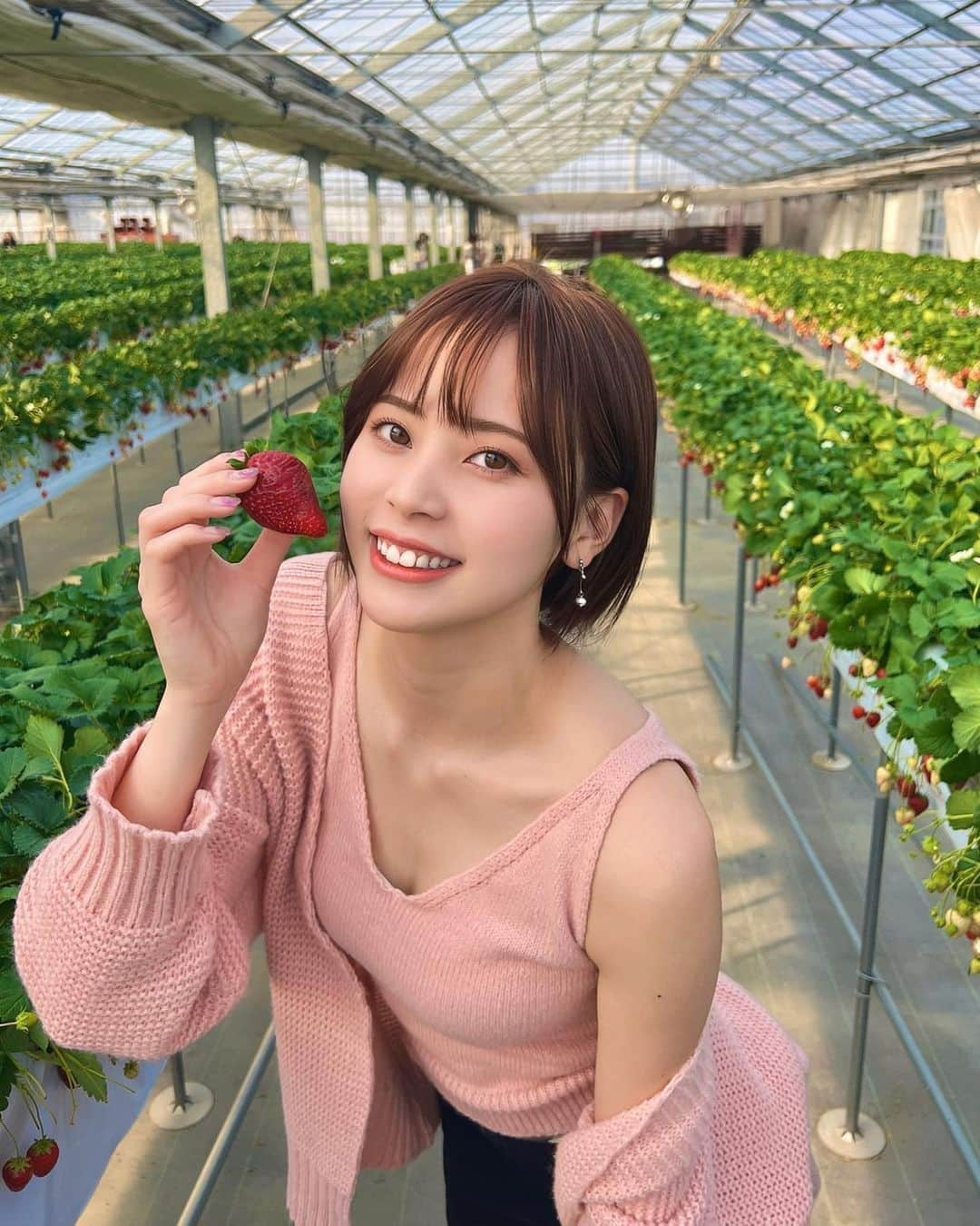 蒼乃茜のインスタグラム：「.  栃木へ世界一おいしい苺の楽園にいってきた🍓  あまおうではなく、  “ロイヤルクイーン”が世界一でした！！！！  人生の中で必ず1回は食べて欲しいくらい甘くておいしい！！！！  #栃木いちご #ロイヤルクイーン苺  #いちご狩り #甘党 #苺の楽園  #宇都宮グルメ」