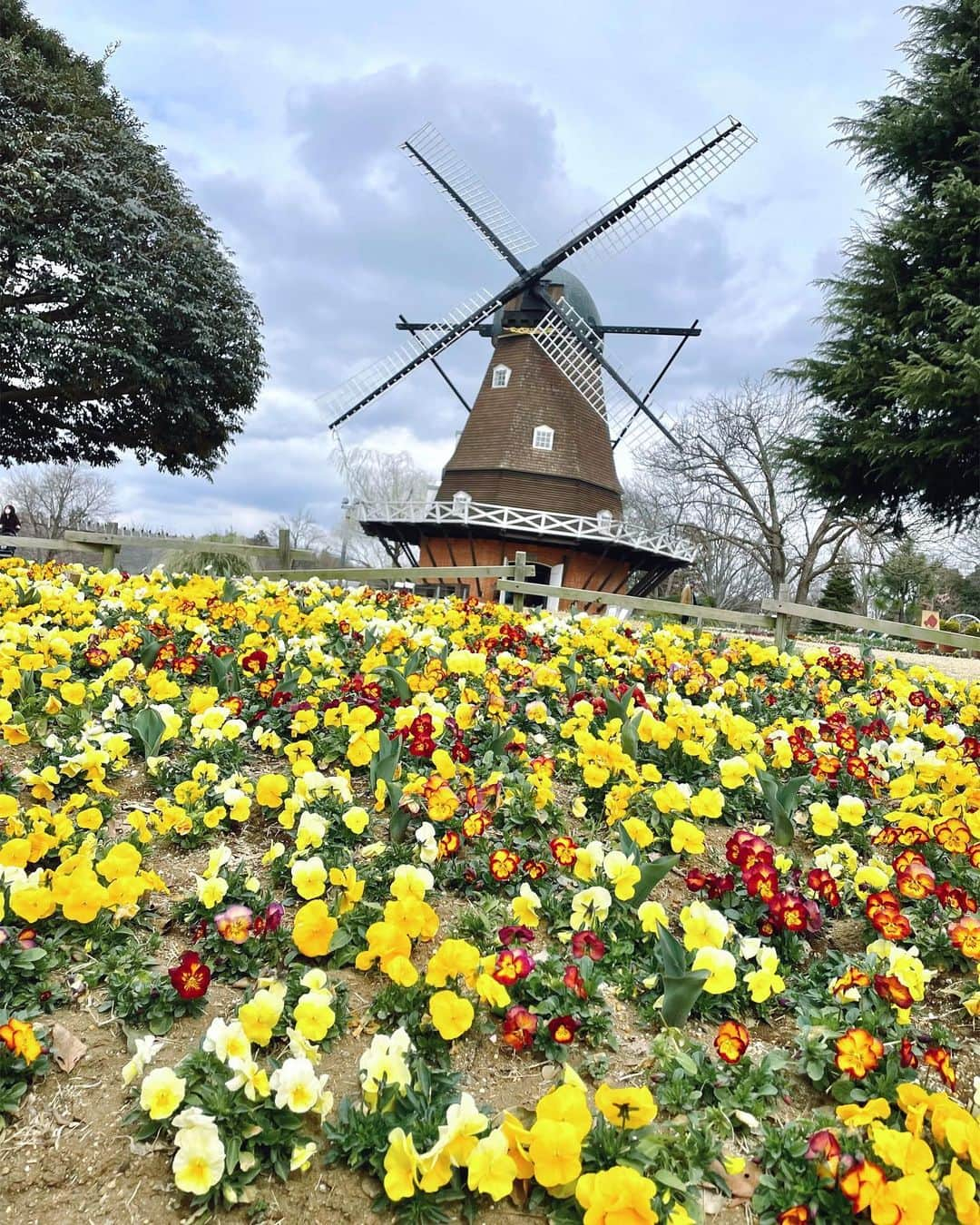 ナカヤマユキコのインスタグラム：「.   初めて行ったアンデルセン公園🏰🌷      大きなアスレチックがあったり ミニSLやミニカーに乗ったり 動物と触れ合ったりボートに乗ったり 親子で泥まみれになって遊んだよ😂    1日中遊んでも足りないぐらい楽しいところだった🐏💙                . . . . . #ふなばしアンデルセン公園  #子連れお出かけ #子連れスポット  #5歳 #5歳男の子 #男の子ママ」