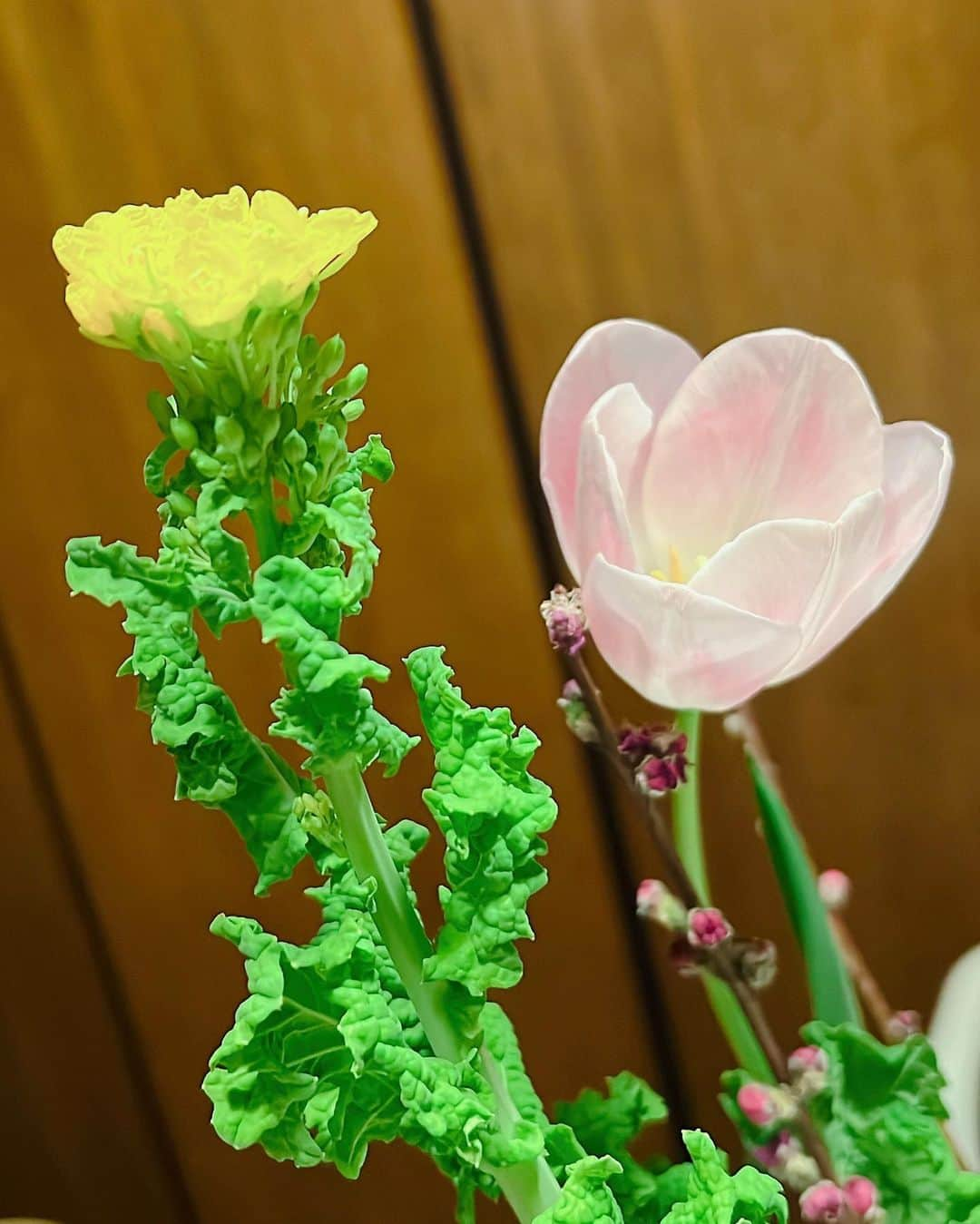 鈴木麻衣花さんのインスタグラム写真 - (鈴木麻衣花Instagram)「気がつけば春が来てる、また今年もそんな感じであっという間に3月になってしまいました。 1月はお正月・おチビの1歳のお誕生日、2月は節分にバレンタイン、3月は雛祭りと間もなくやってくる春休みに新学期の準備… なんだか季節の行事をおっているとあっという間に時が過ぎていてびっくりします。 お友達にも連絡するね〜って言ってたら、数ヶ月経ってしまっていたり、年始のご挨拶もできないまま春になってたり。 そんな無礼者でごめんなさい。 季節の行事もだんだんテキトーになったりしてて、お寿司でお雛様を作るつもりで居たのに食事の時間までボーっとしてしまって慌てて作り出したから飾り付けがめちゃくちゃ雑になってしまいました。笑 恥ずかしいけど、笑えるからまぁいいか。笑 パルシステムで買っておいたサクラデンブが自然な感じで美味しかったです♡ 久しぶりに行ったコストコも楽しかったなー！！！ しかし娘は何でこんなに爆笑してるんだ？ #桃の節句#ひな祭り#春」3月10日 16時20分 - maika0321