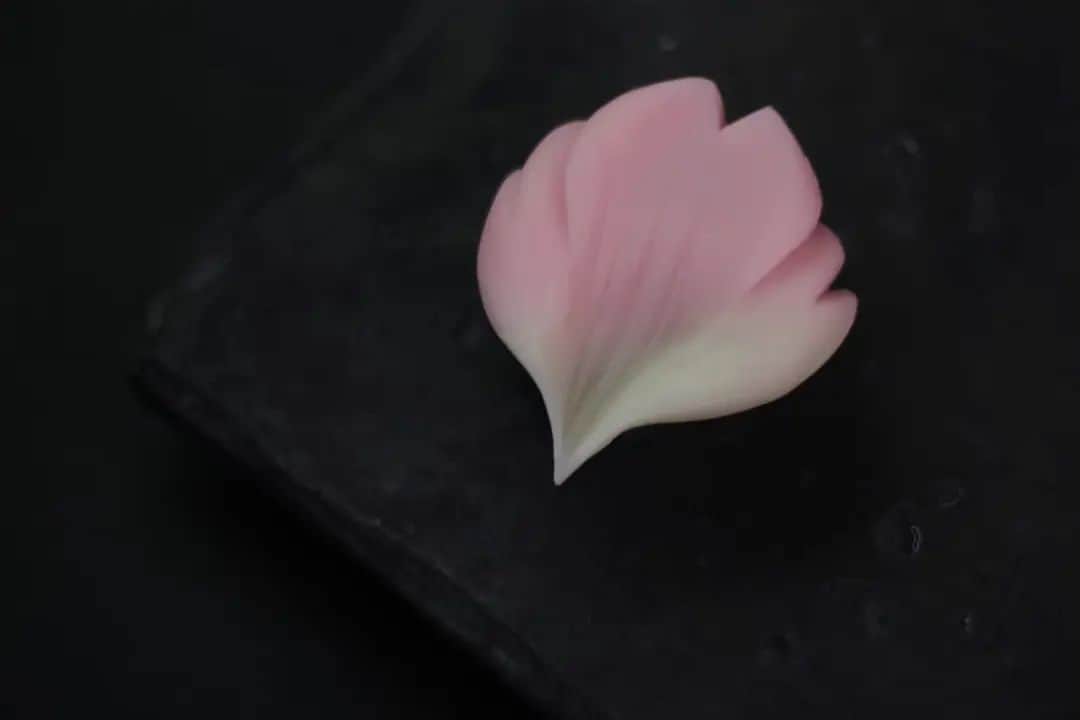 のインスタグラム：「『舞桜』⁡ ⁡練り切り製・小豆漉し餡⁡ ⁡⁡ ⁡昨年、山茶花を⁡作っている時にそこから桜にしてみたやつです。山茶花は2枚目の写真です。⁡ ⁡ ⁡そろそろ直接販売のお菓子を考えねばですが発送の詰め合わせの製造に追われております💦上生菓子の抽選販売の受け付けは今夜23時45分までとなります。お干菓子は抽選販売ではなく即購入可能です。⁡ ⁡⁡ ⁡無店舗の変わったスタイルで生きておりますが日々多くのご注文ありがとうございます🙇‍♂️⁡ ⁡⁡ ⁡┈┈┈┈┈┈┈┈┈┈⁡ ⁡⁡ ⁡ #和菓子 #wagashi #🌸 #桜 #春 #Spring #CHERRYBLOSSOM #お取り寄せ #あんこ #上生菓子 #生菓子 #主菓子 #茶道 #抹茶」