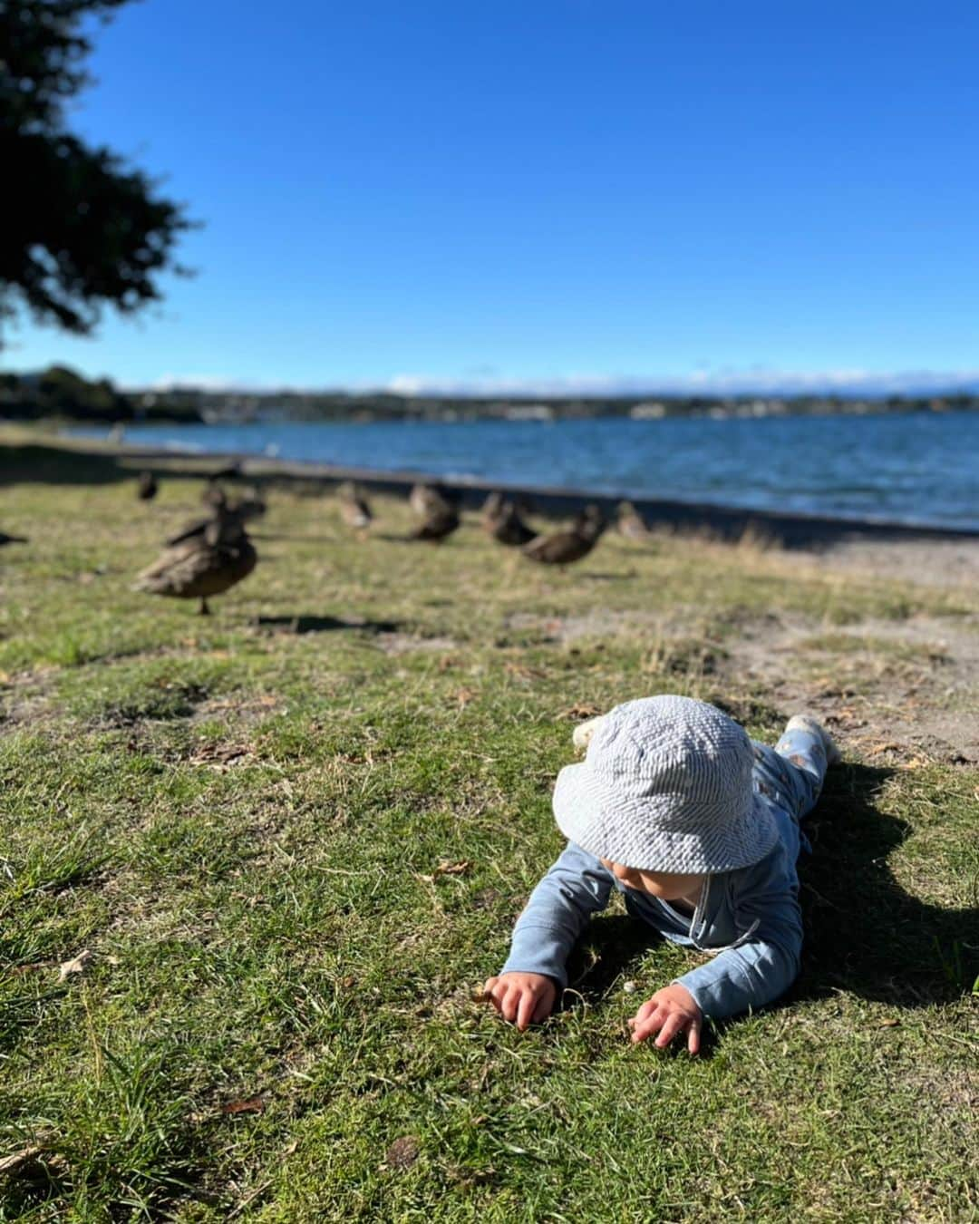 サラ・マイアーさんのインスタグラム写真 - (サラ・マイアーInstagram)「New Zealand weeks 3 + 4 🇳🇿   Random things I learned on this trip so far:  - to keep kid awake in the car, looking at books or watching tv is NOT a good idea. Can you guess what happened..?🙈  - Our kids are afraid in the dark! At the glowworm caves Noè was crying where you‘re supposed to be silent. Tim wished to go home to Switzerland now😅🙈  - I‘m a good actress💁🏽‍♀️ Waking up sick ironman day 🤢 and pretending everything is great. Cheering when @janvanberkel passed by and falling back to sleep in between.   - All coffee shops here close around 3 o‘clock 😵‍💫😵‍💫  Things I knew already & were confirmed on this trip:  - To have my parents & Jans mom with us for part of the trip = best idea 🥰  #neuseeland #newzealand #traveltime #familytravel #travellingwithkids #familyvacation #explorenewzealand #pancakerocks #hokatiki #taupo #nelson #marlboroughsounds」3月10日 16時57分 - sarah.van.berkel