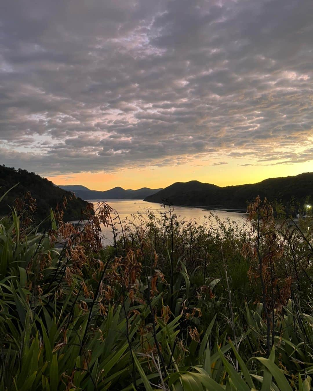 サラ・マイアーさんのインスタグラム写真 - (サラ・マイアーInstagram)「New Zealand weeks 3 + 4 🇳🇿   Random things I learned on this trip so far:  - to keep kid awake in the car, looking at books or watching tv is NOT a good idea. Can you guess what happened..?🙈  - Our kids are afraid in the dark! At the glowworm caves Noè was crying where you‘re supposed to be silent. Tim wished to go home to Switzerland now😅🙈  - I‘m a good actress💁🏽‍♀️ Waking up sick ironman day 🤢 and pretending everything is great. Cheering when @janvanberkel passed by and falling back to sleep in between.   - All coffee shops here close around 3 o‘clock 😵‍💫😵‍💫  Things I knew already & were confirmed on this trip:  - To have my parents & Jans mom with us for part of the trip = best idea 🥰  #neuseeland #newzealand #traveltime #familytravel #travellingwithkids #familyvacation #explorenewzealand #pancakerocks #hokatiki #taupo #nelson #marlboroughsounds」3月10日 16時57分 - sarah.van.berkel