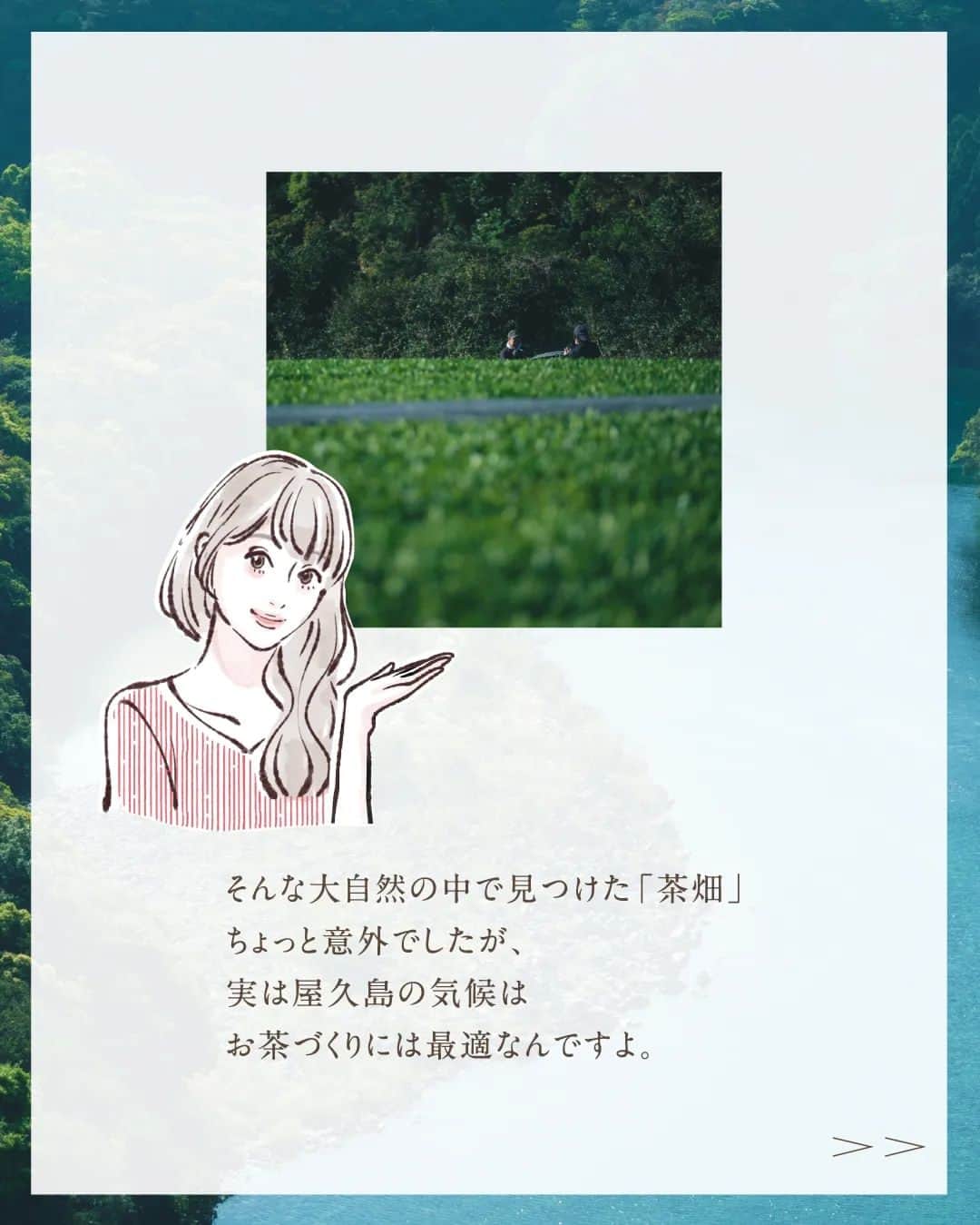 旅茶列島byポッカサッポロさんのインスタグラム写真 - (旅茶列島byポッカサッポロInstagram)「初めまして！【TOCHI とCRAFT】アカウントの広報担当、土地野あいです。  持ち前のフットワークの軽さを生かして、全国的にあまり知られていない素敵な場所やものを探す旅にでるのが趣味です。 その地で発見したこと、体験したことをシェアしてみんながハッピーになれるような発信をしていきます。  さっそく今回は、神秘の島といわれる【世界自然遺産・屋久島】をご紹介します。  山と森と水に満ちた屋久島。 幻想的で息を呑むような美しい自然を実際に肌で感じると、心が洗われるような感覚になりました。 そんな大自然の中で見つけた「茶畑」 ちょっと意外でしたが、実は屋久島の気候はお茶づくりには最適なんですよ。 屋久島の方々の努力によって守られている美しい大自然と、自然と共生している屋久島の人々の想いが詰まった特産品をぜひ、味わってみてくださいね。  【続きはTOCHIとCRAFTサイトへ↓↓プロフィール欄のハイライトからアクセスしてください。】  #tochiとcraft #トチとクラフト #ポッカサッポロ #pokkasapporo #大自然 #ご当地グルメ #爽やかな香り #心地よい #旨味 #屋久島 #気候 #雨 #愛 #大切 #守る #偉大な自然 #世界自然遺産 #幻想的 #神秘的 #屋久島産」3月10日 17時05分 - tochitocraft_official