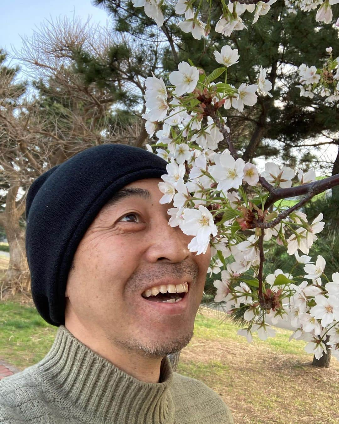 ワッキーさんのインスタグラム写真 - (ワッキーInstagram)「もう桜が咲いていた。コレってなに桜ですか？」3月10日 17時29分 - japan_wacky